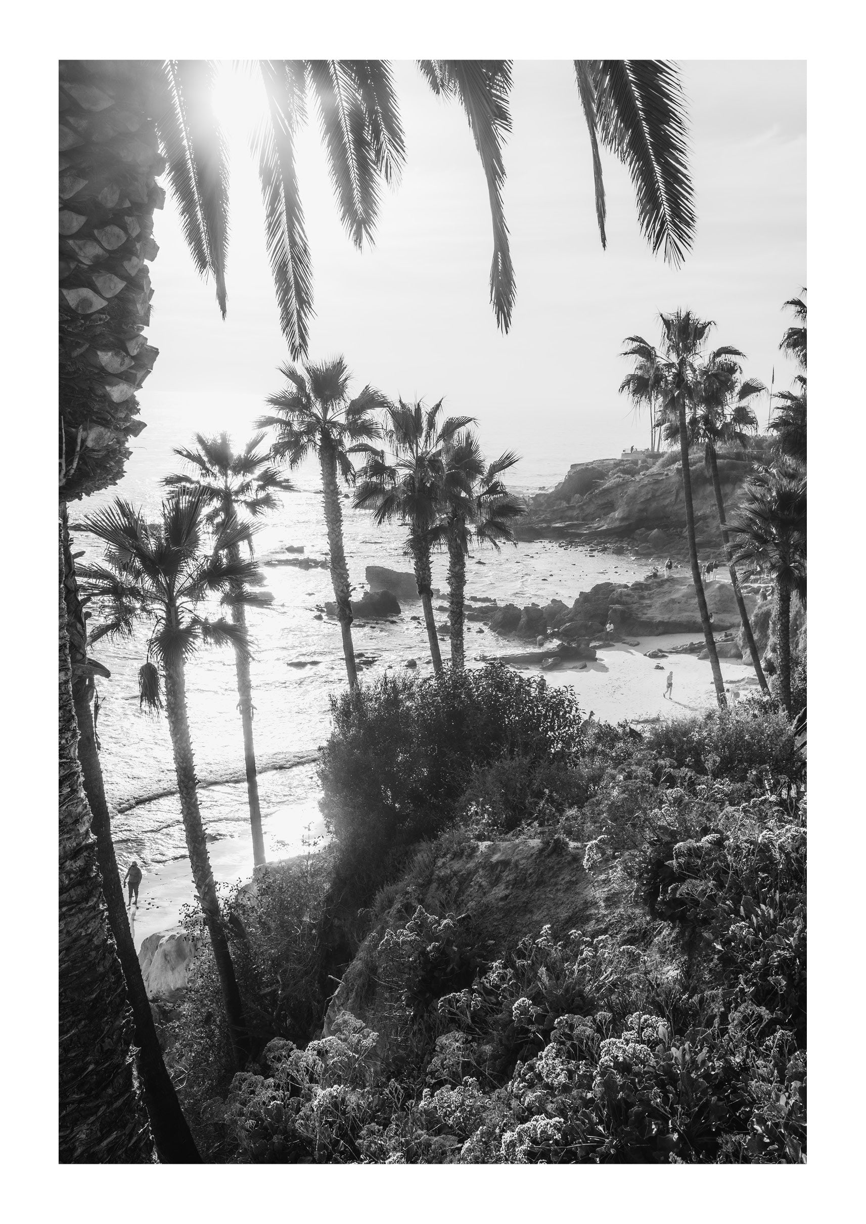 Laguna Gold