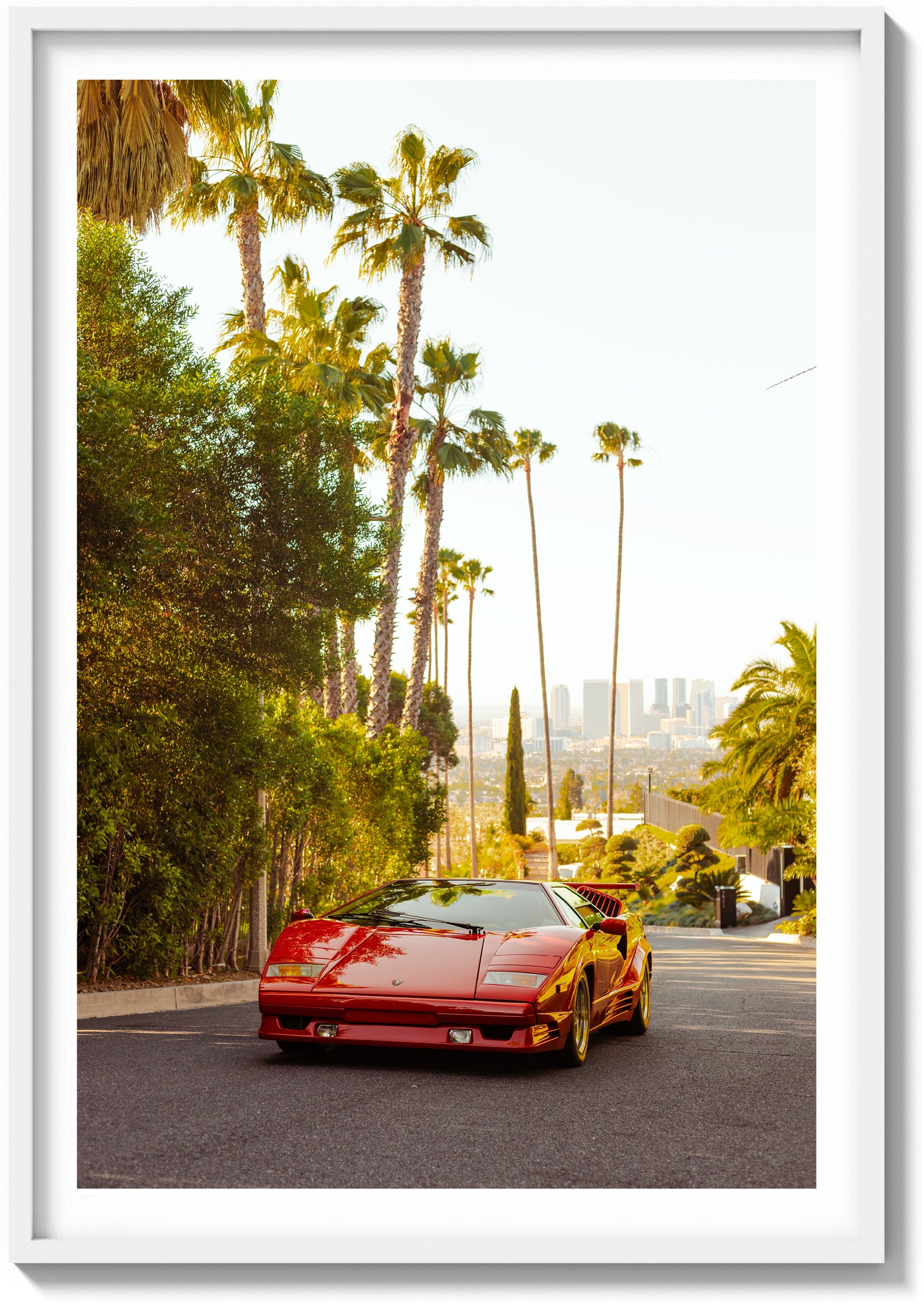 Hollywood Sun