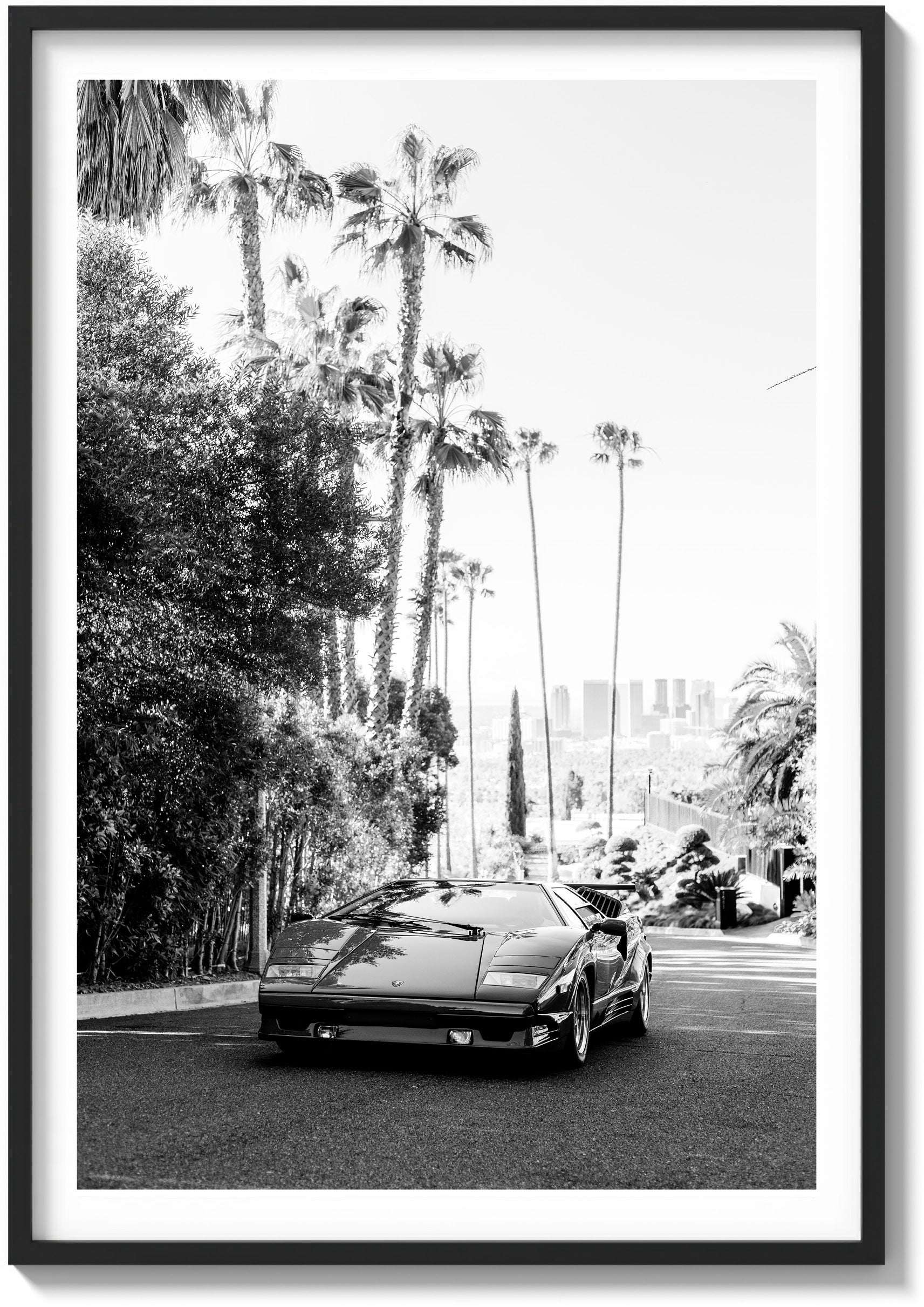 Hollywood Sun
