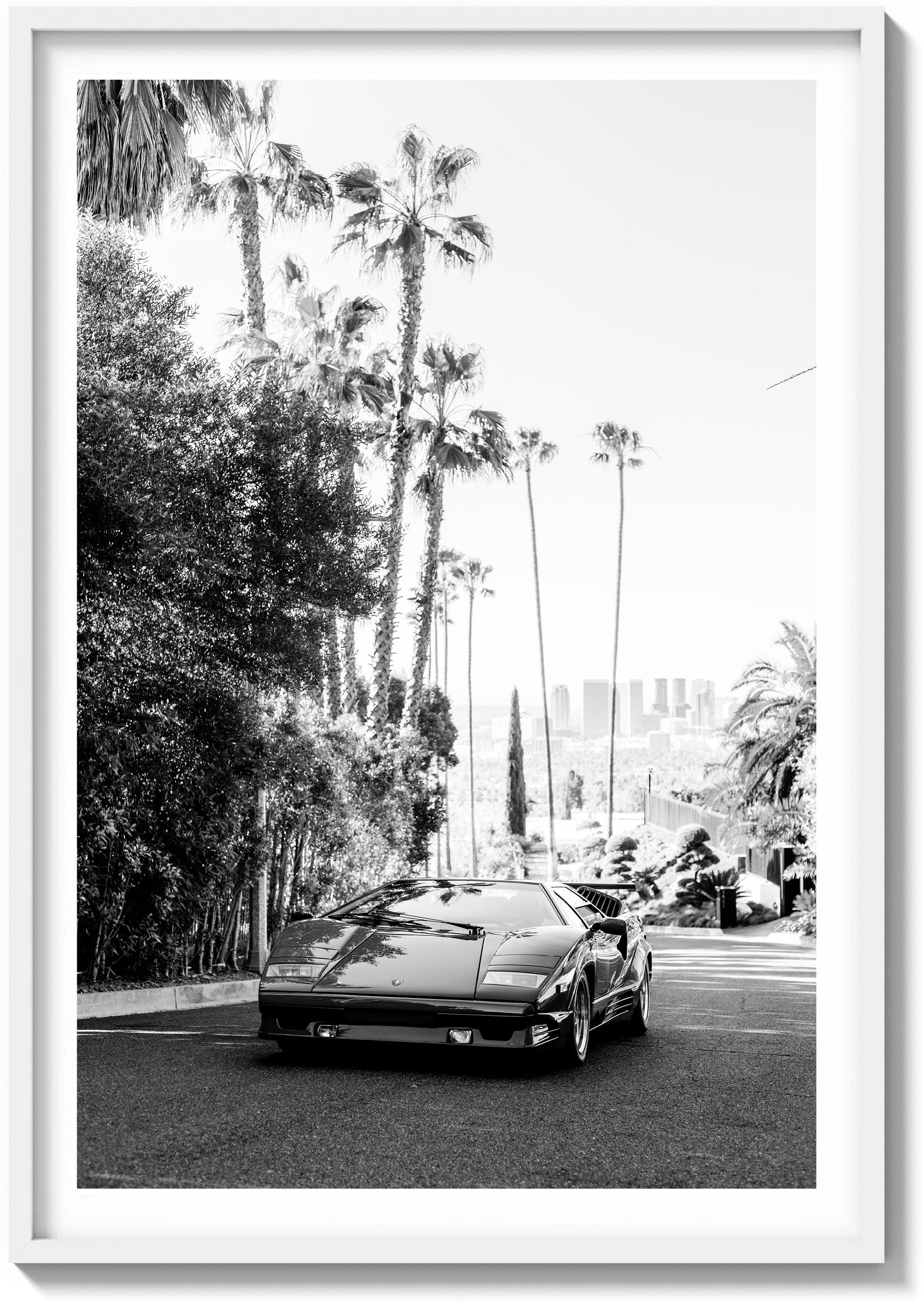Hollywood Sun