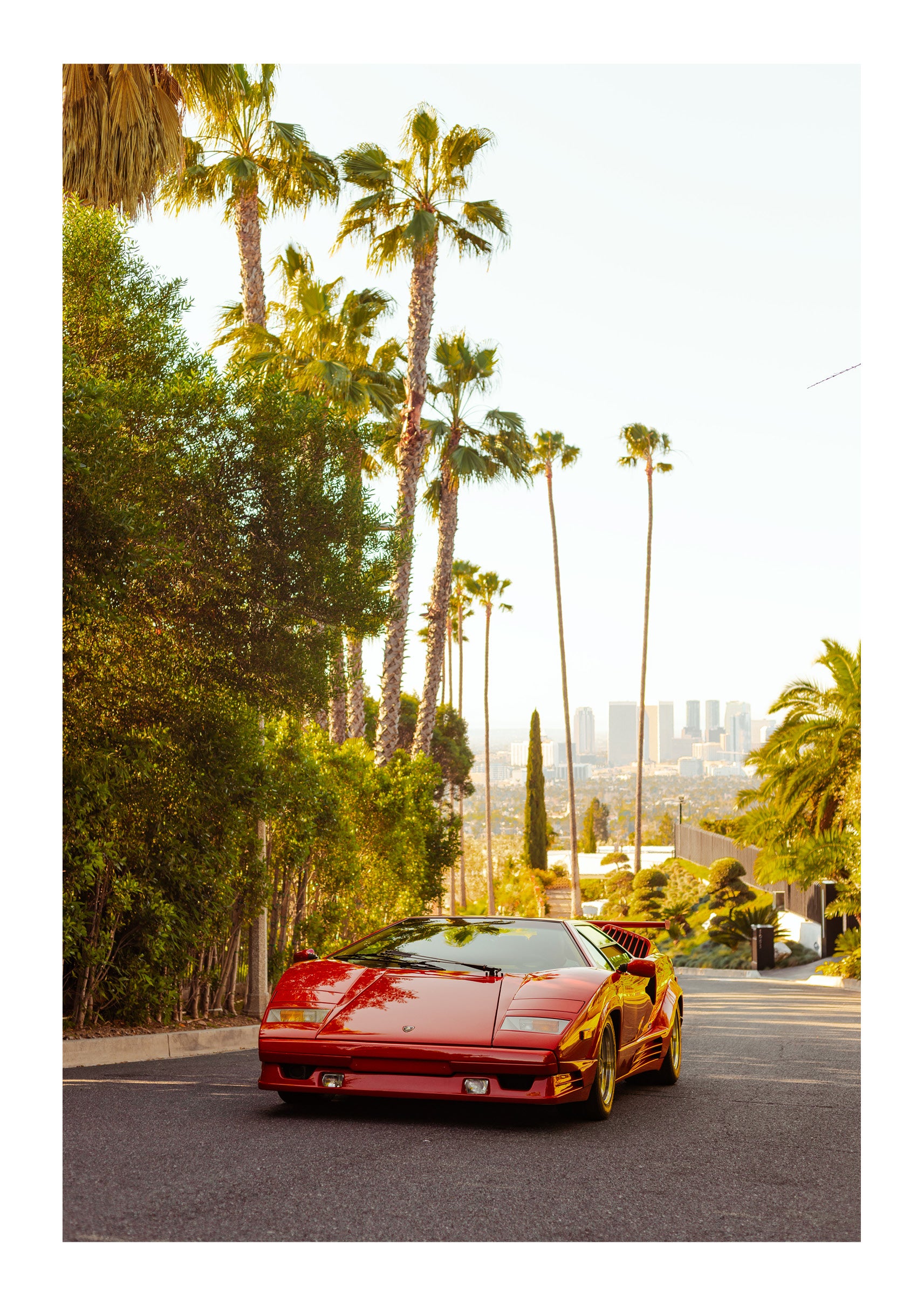 Hollywood Sun