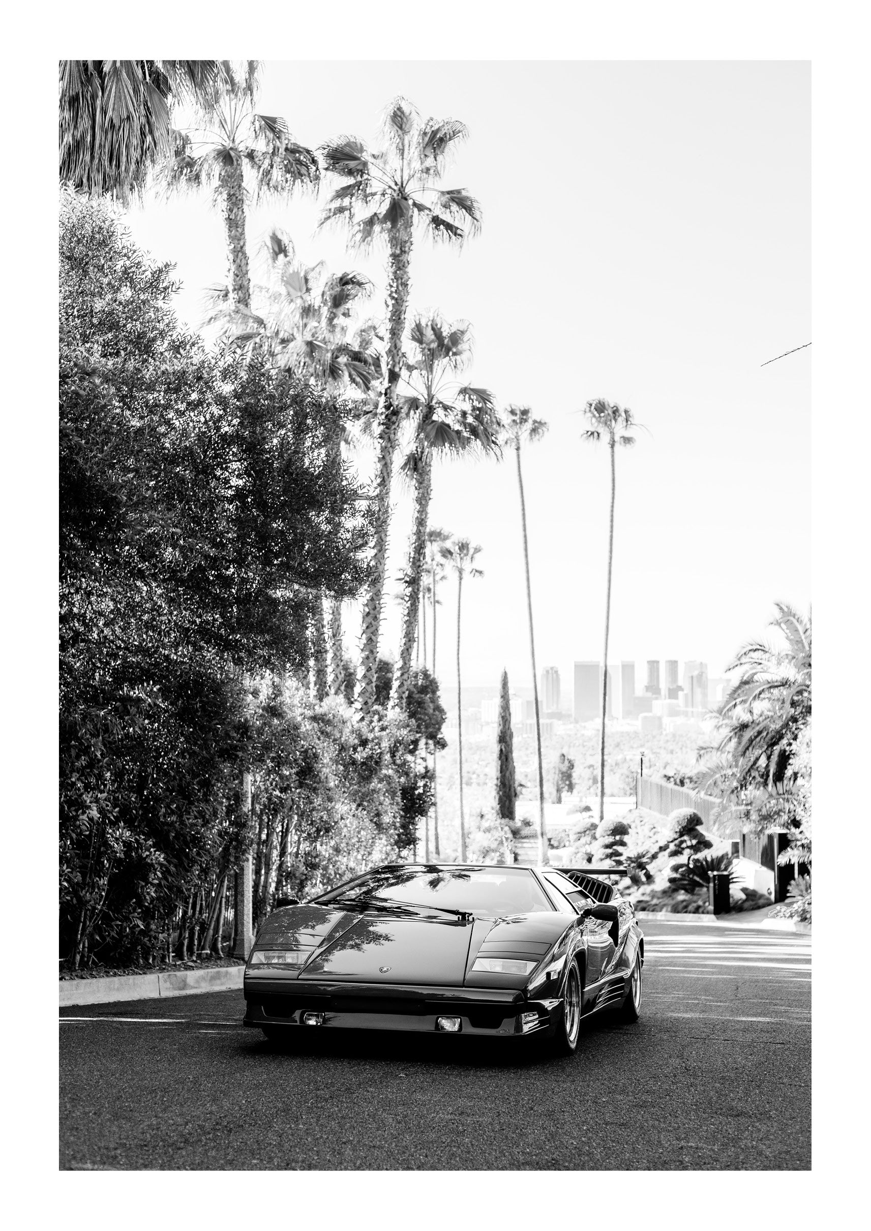 Hollywood Sun