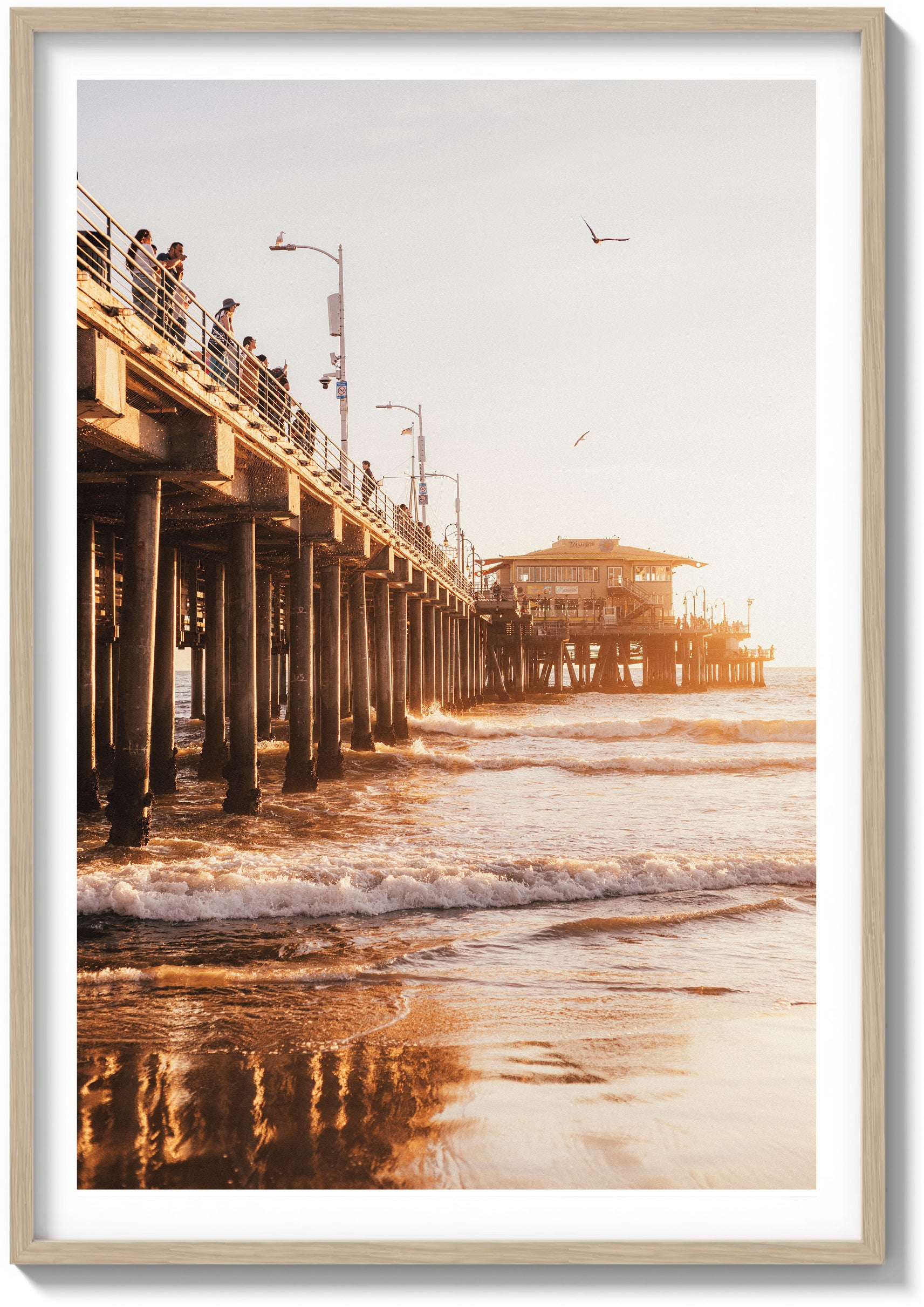 Santa Monica Sun
