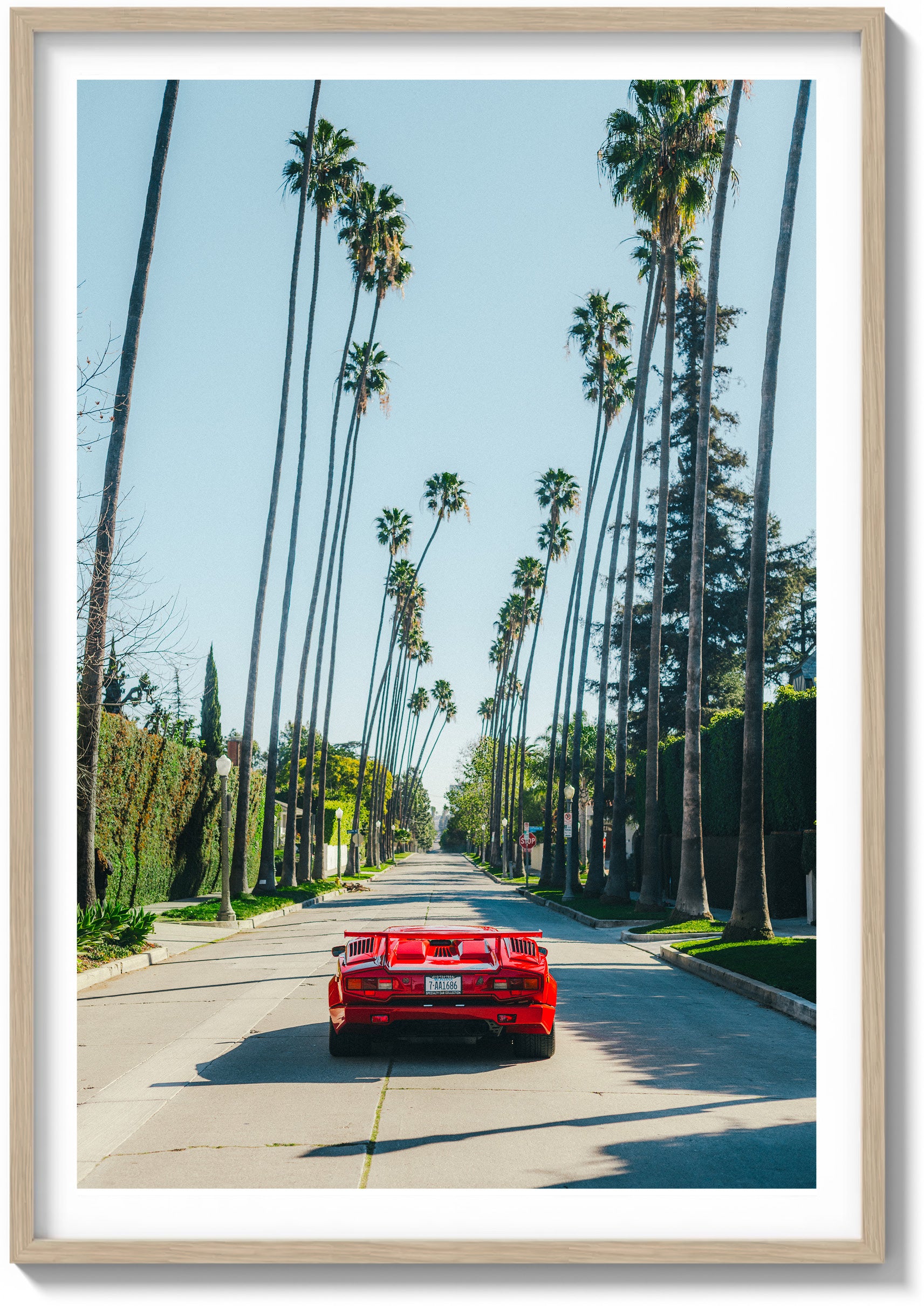 Beverly Hills Perfection