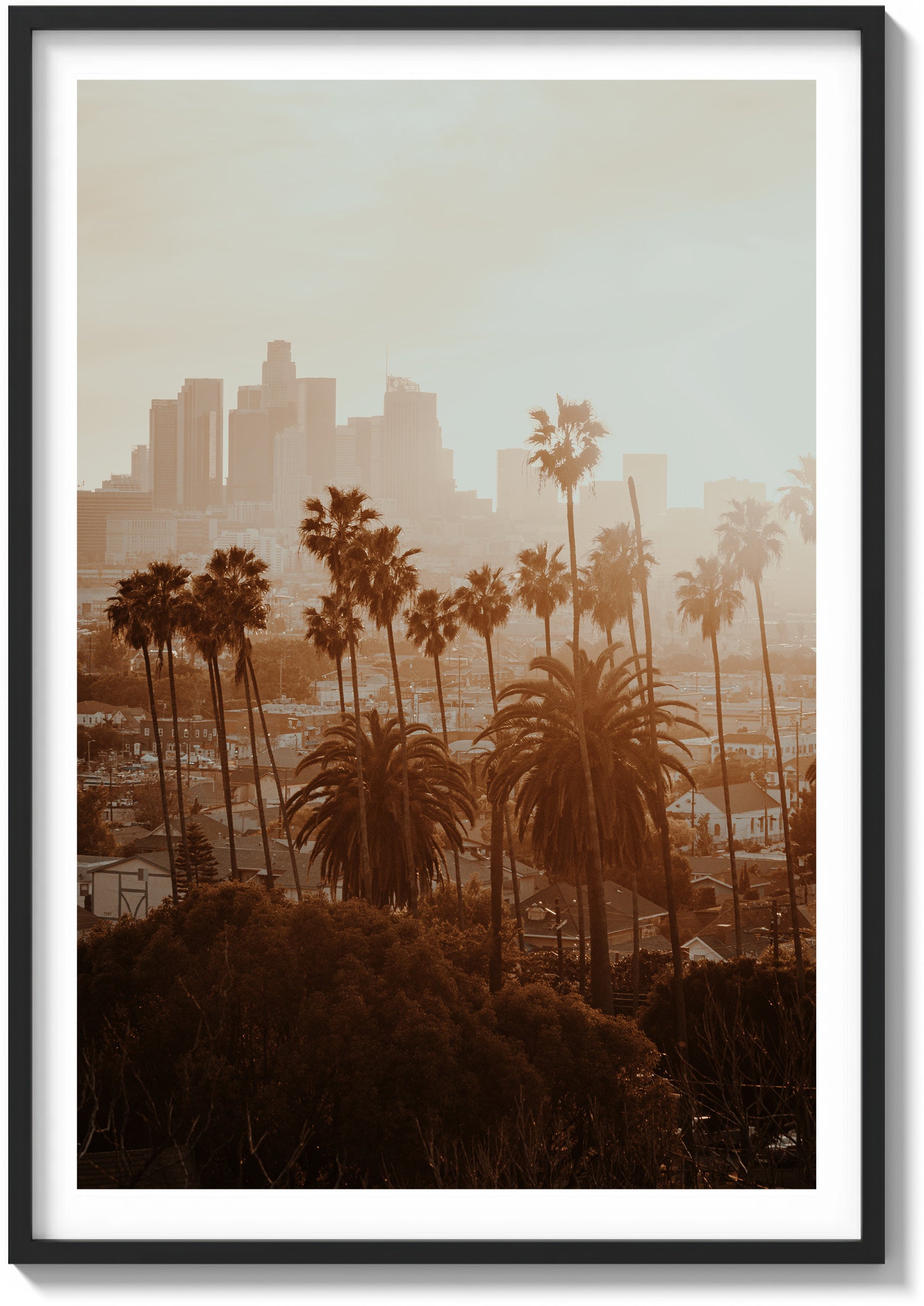 LA Haze