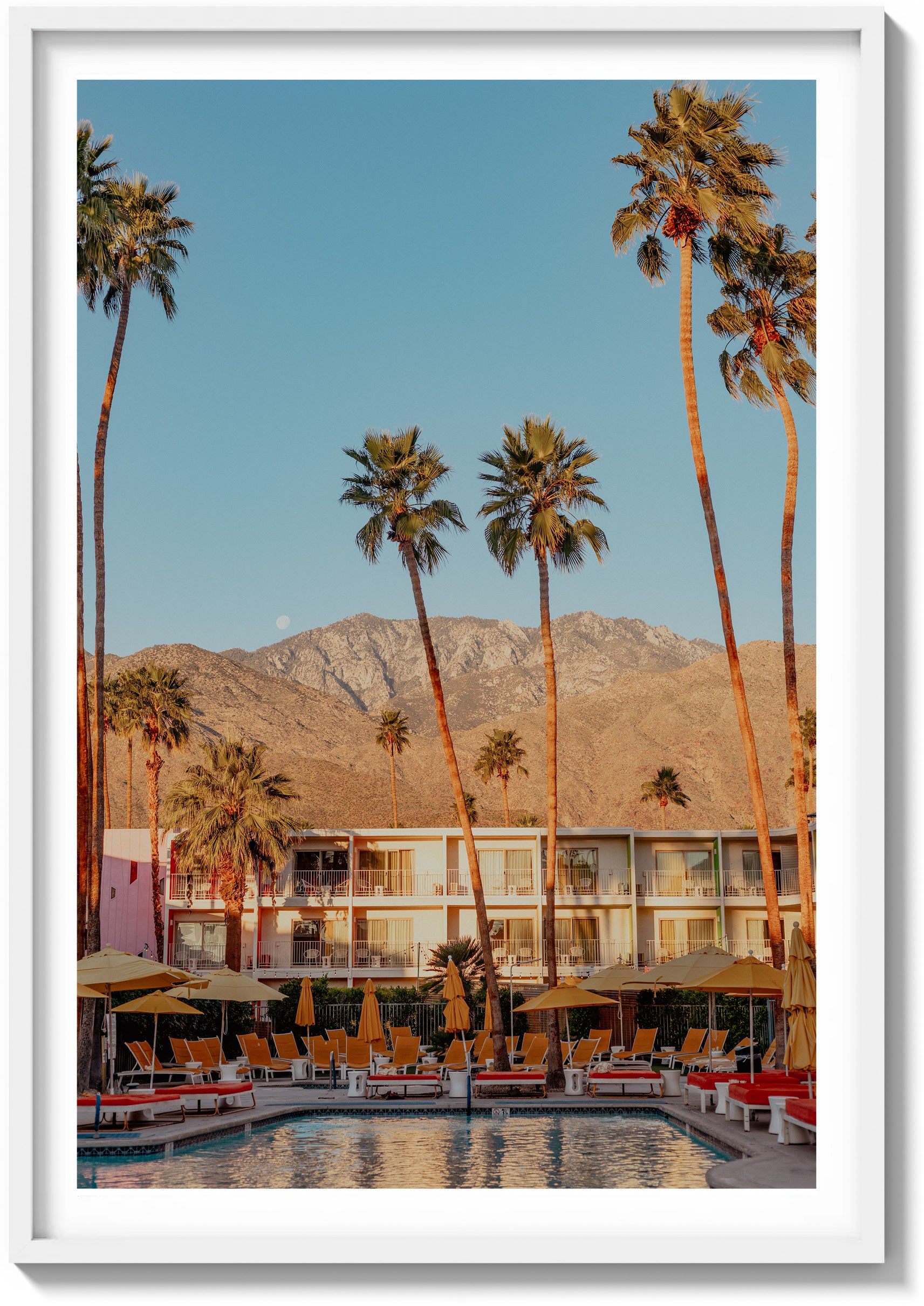 Oasis In The Desert