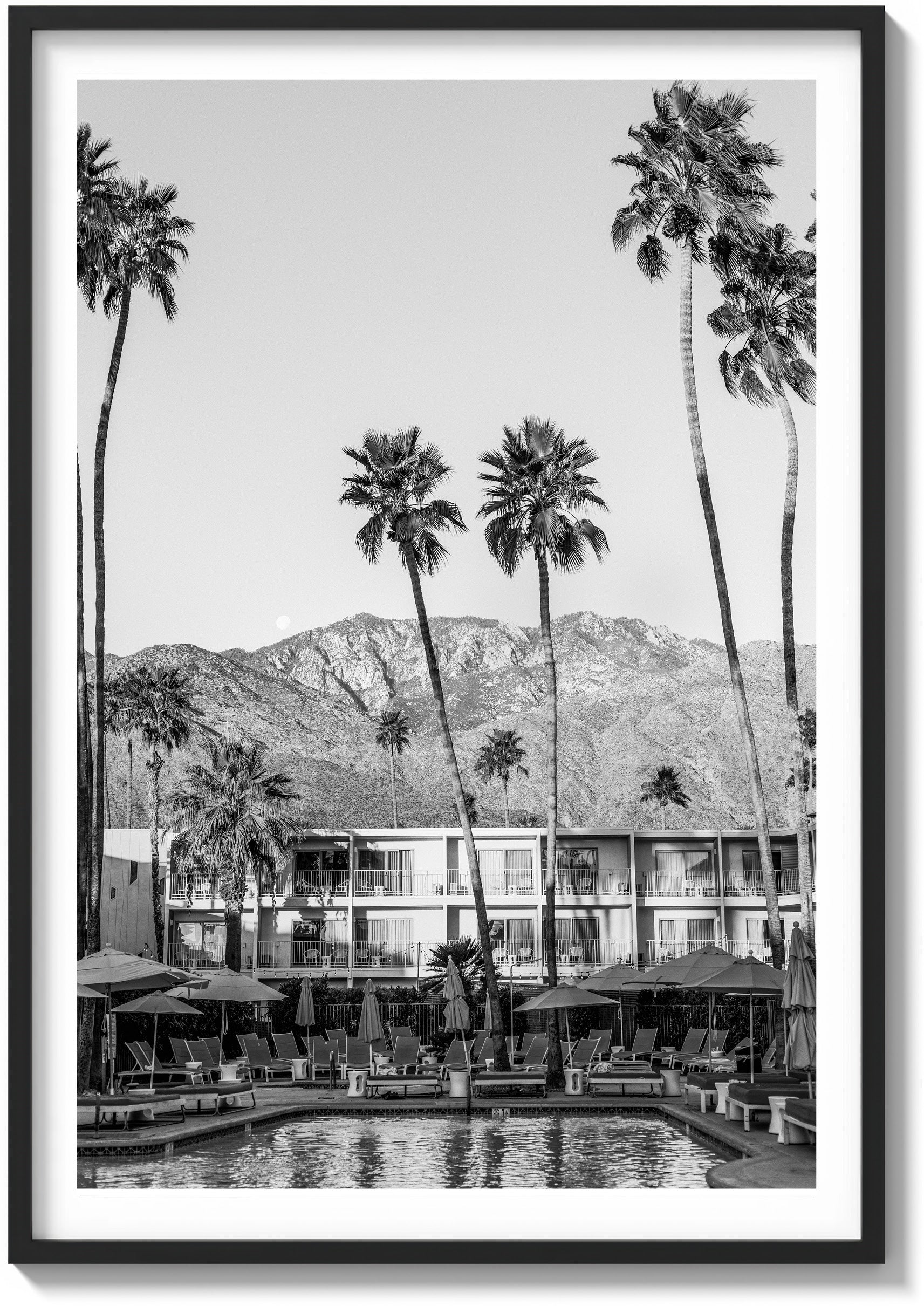 Oasis In The Desert
