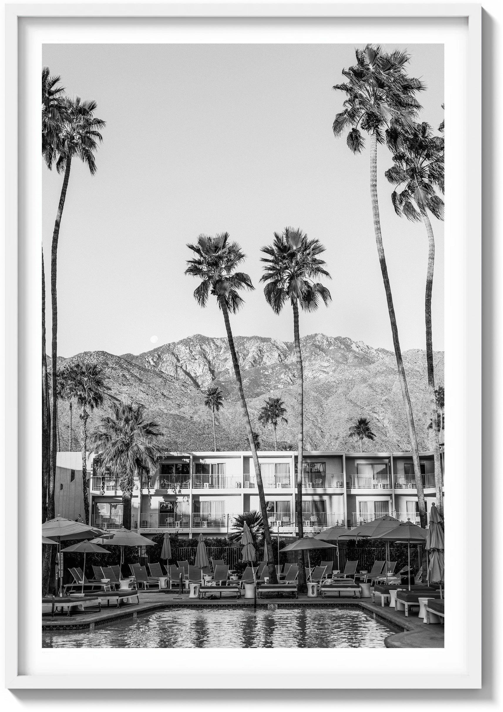 Oasis In The Desert