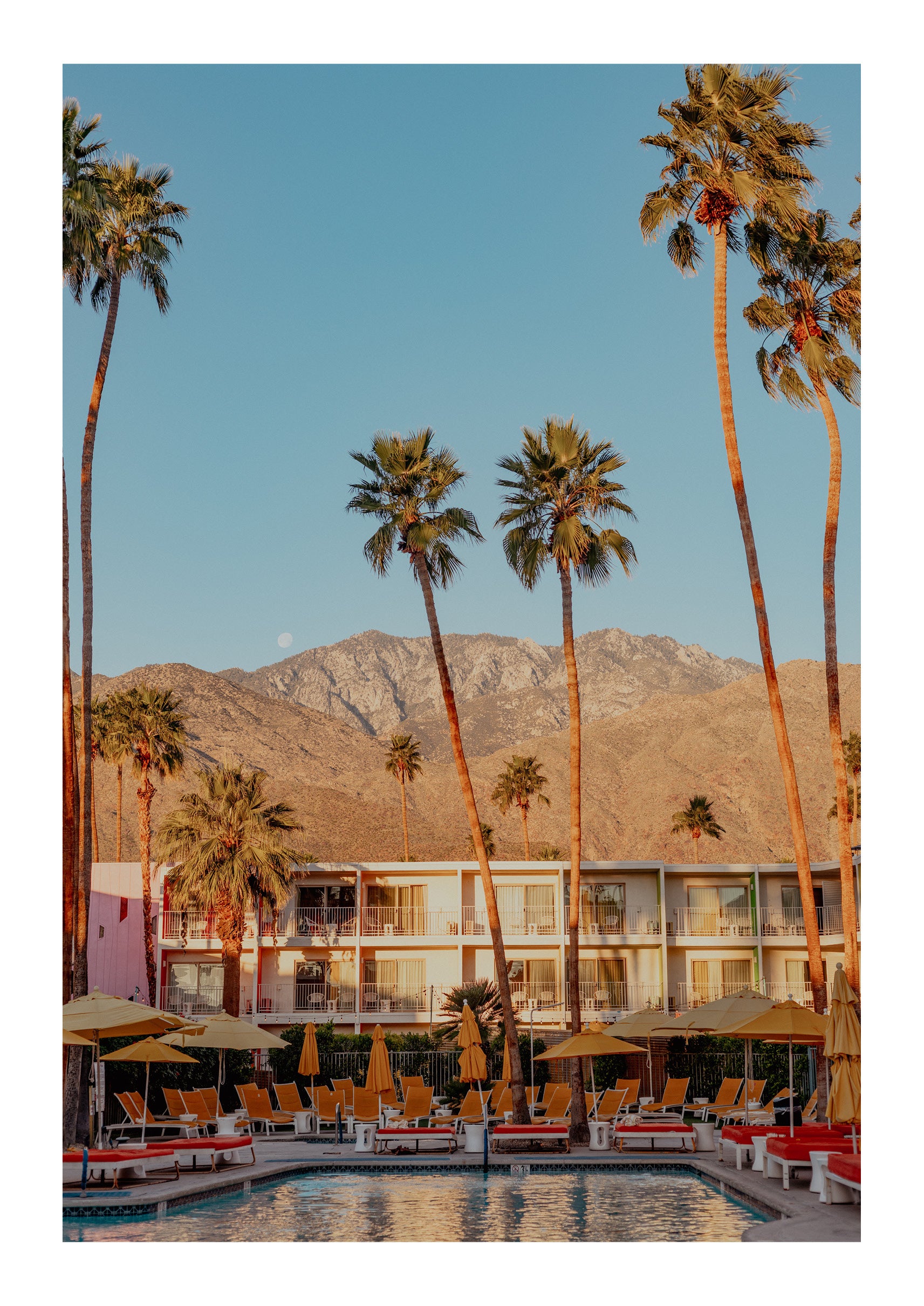 Oasis In The Desert