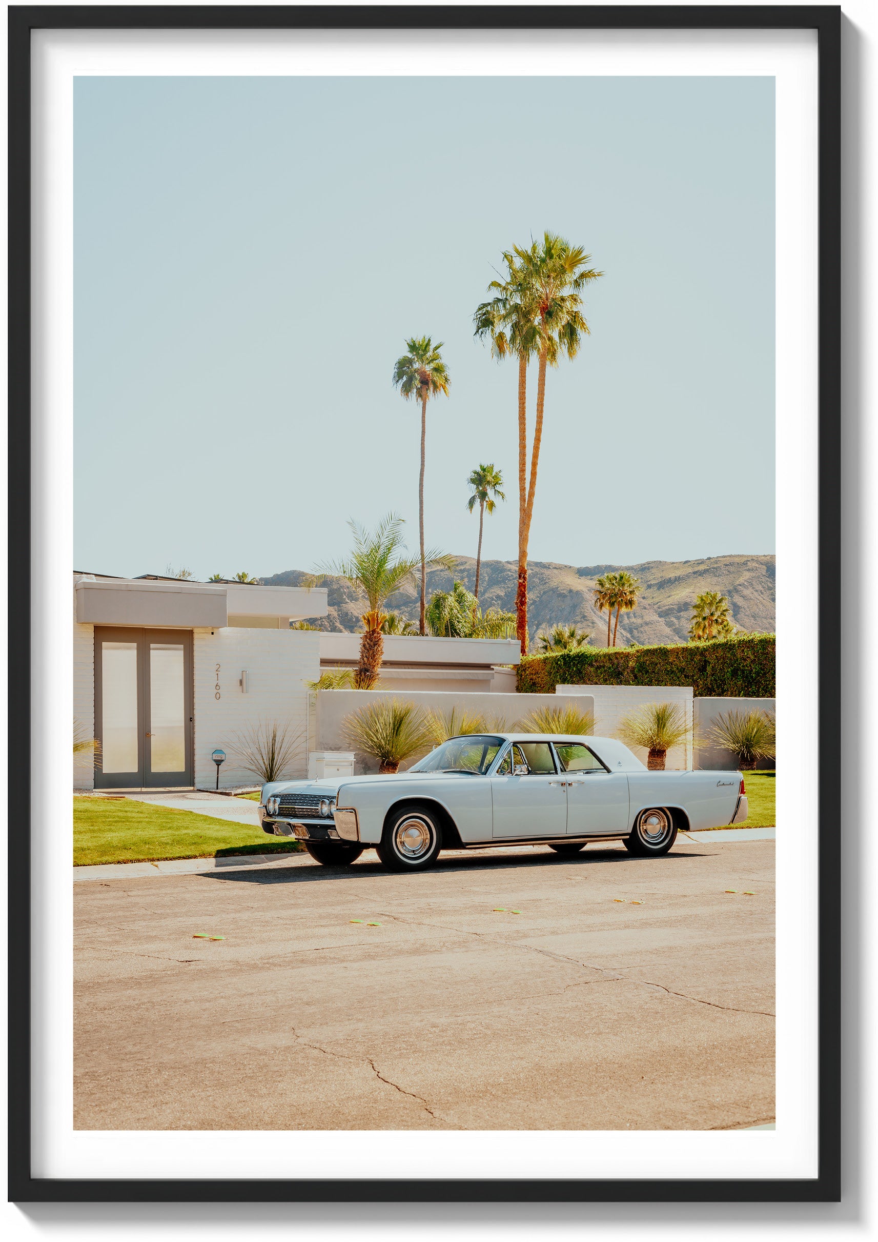 Palm Springs Perfection