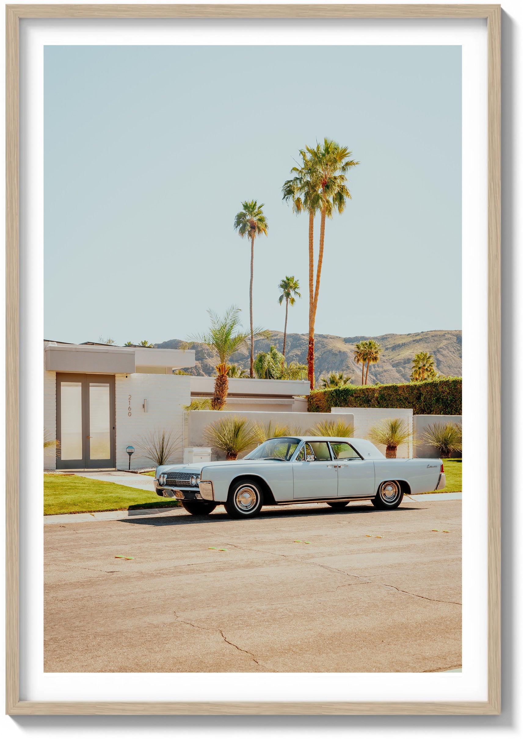 Palm Springs Perfection