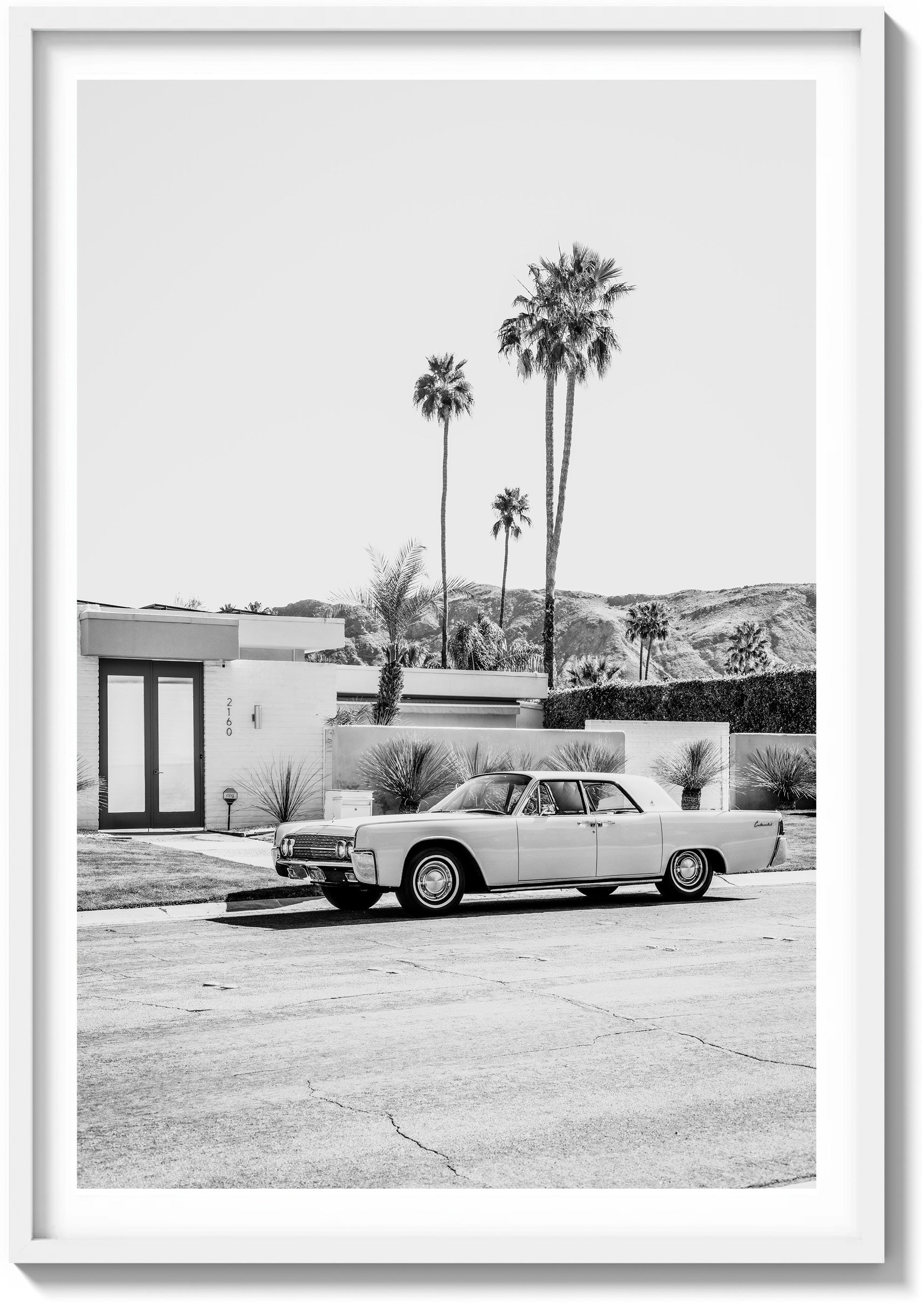 Palm Springs Perfection