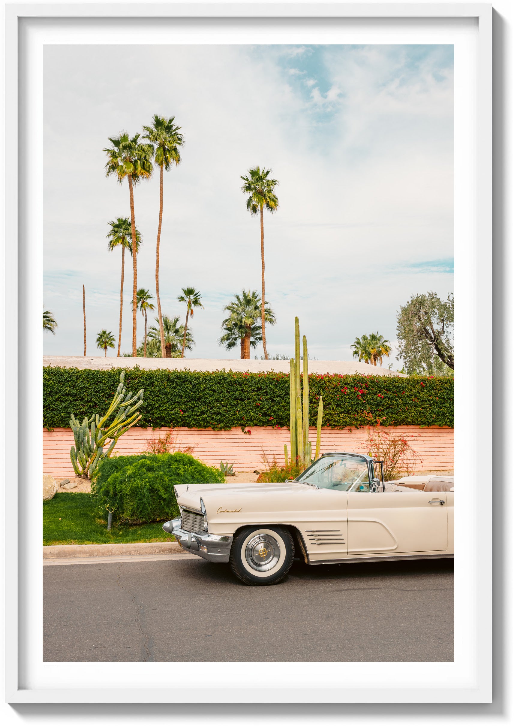 Palette of Palm Springs