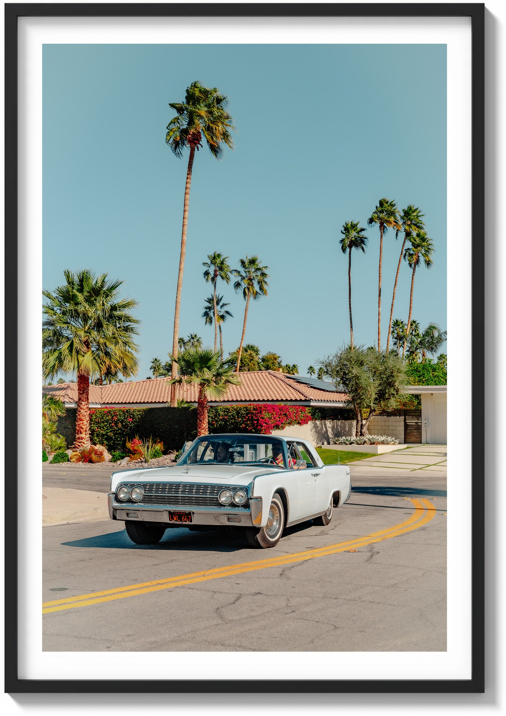 Desert Joy Ride