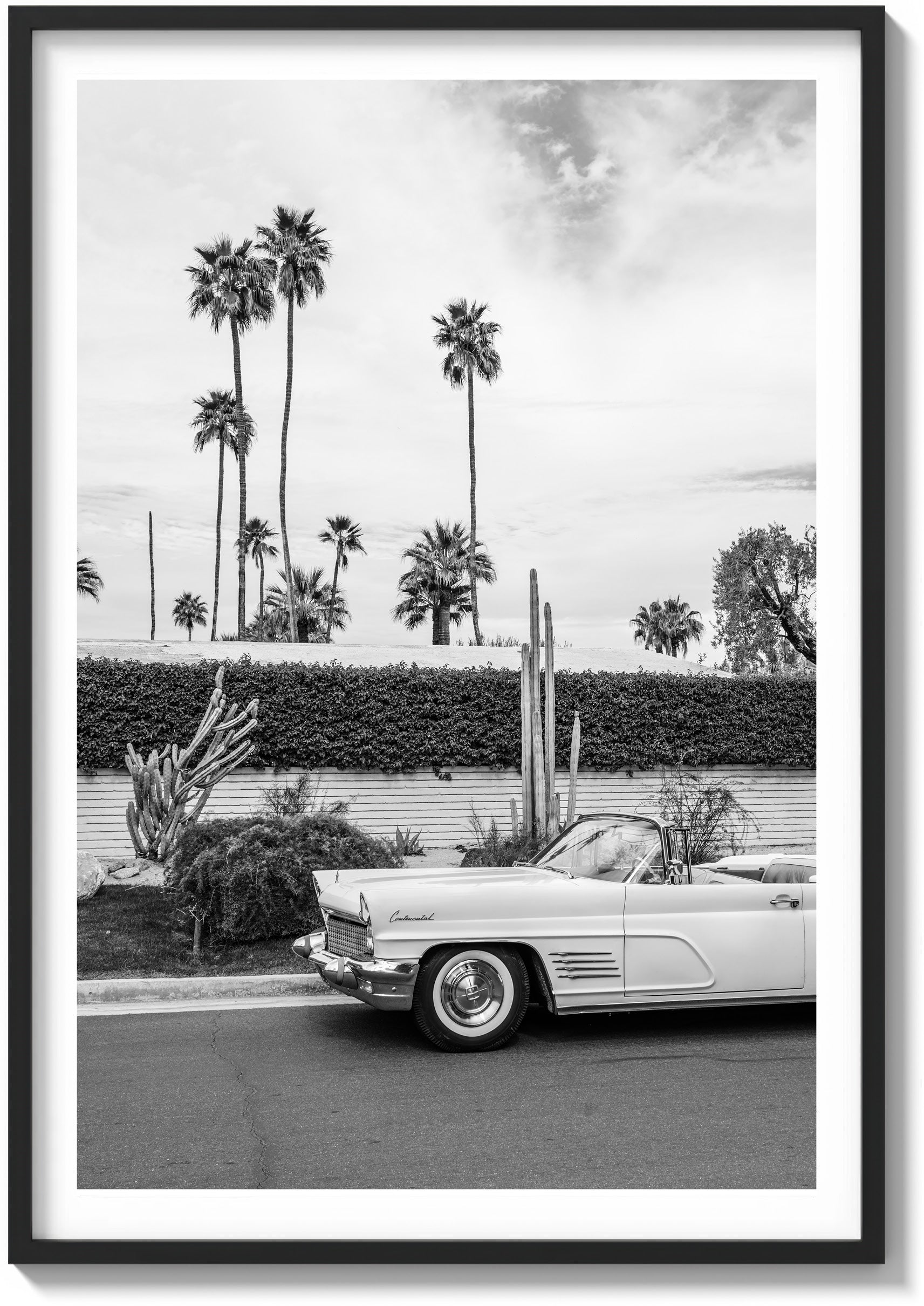 Palette of Palm Springs