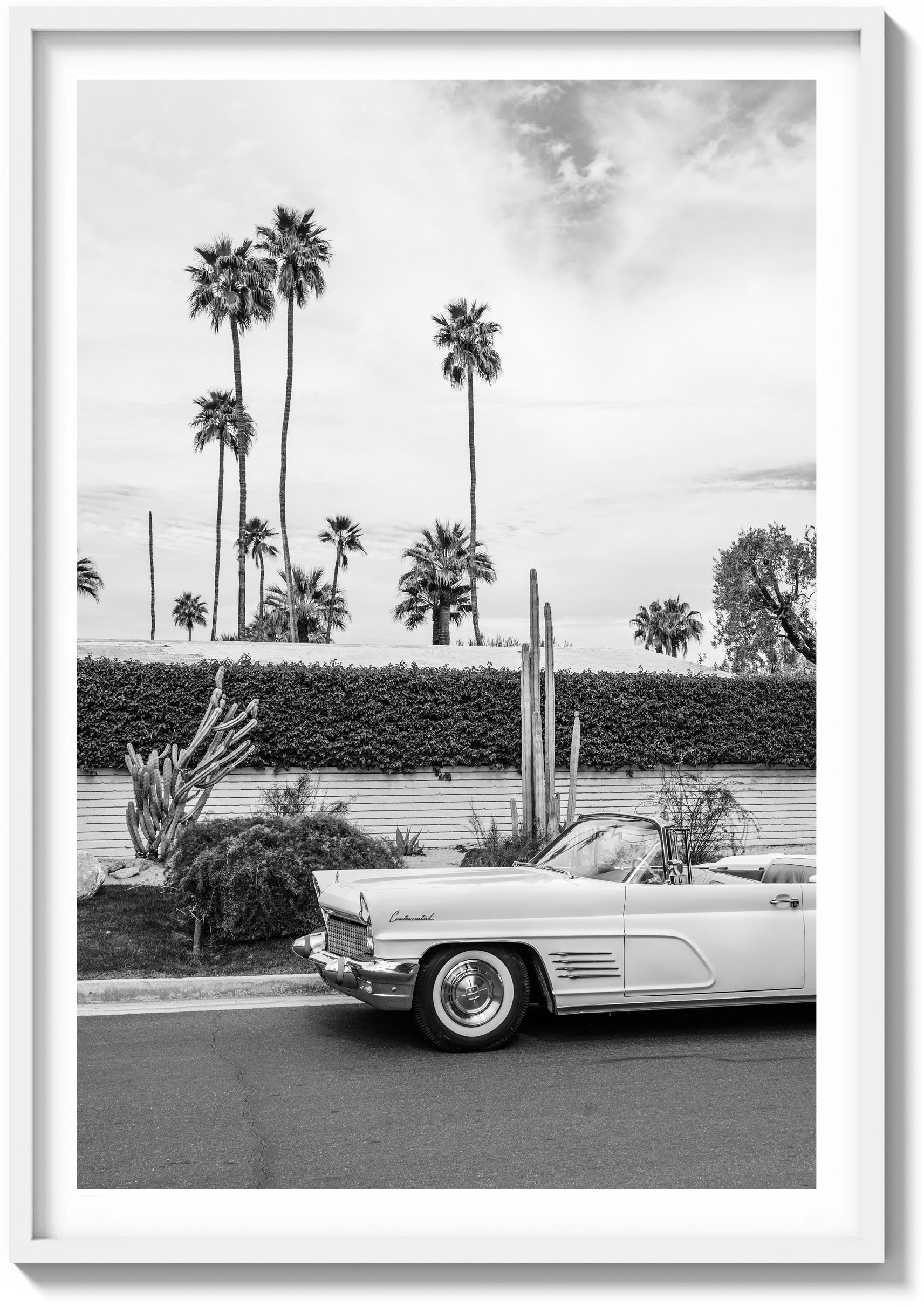 Palette of Palm Springs