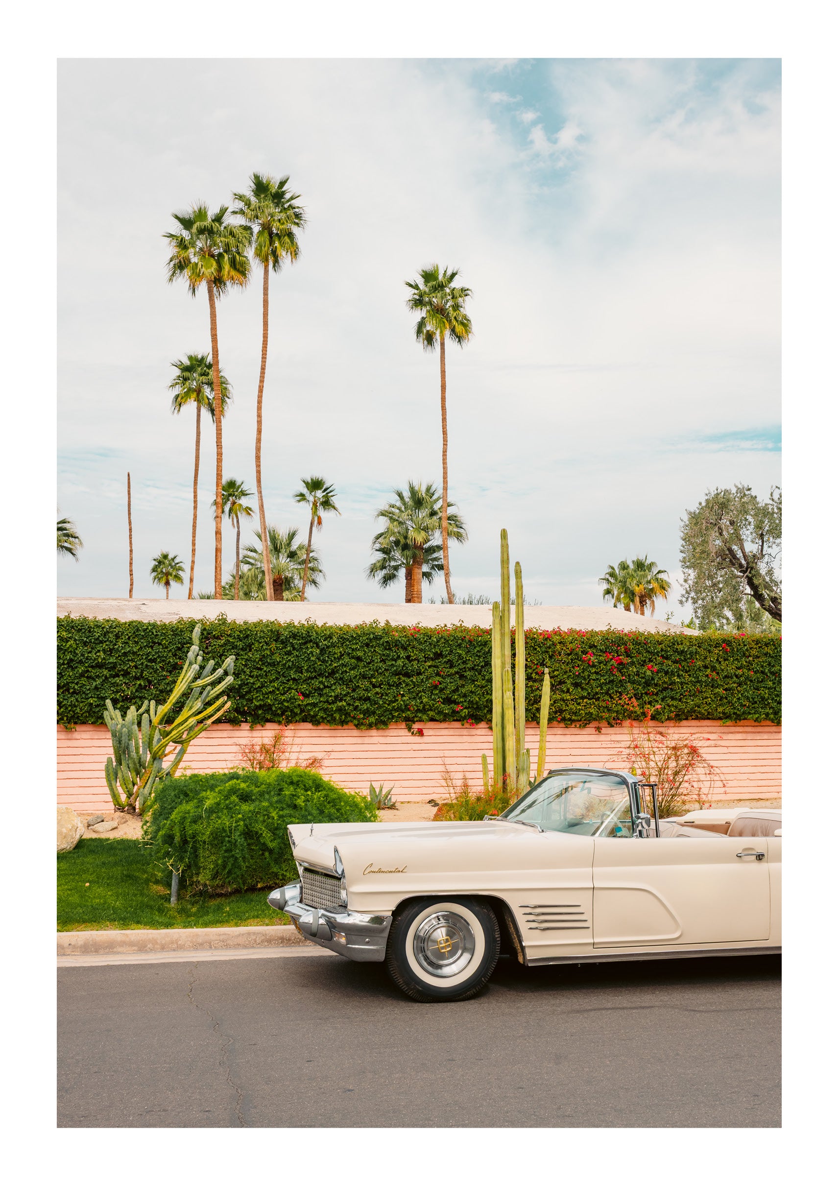 Palette of Palm Springs