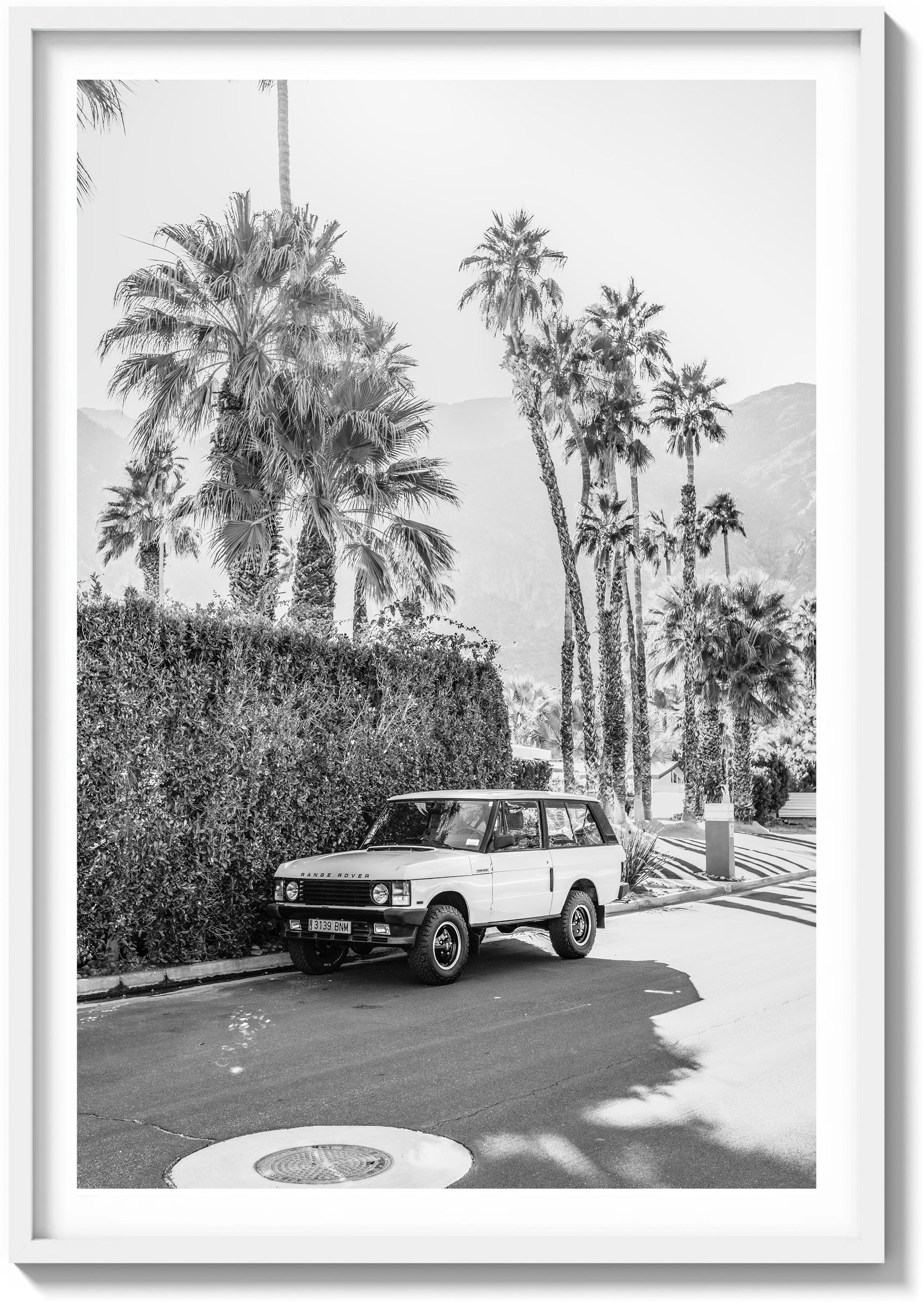 Landy In Light