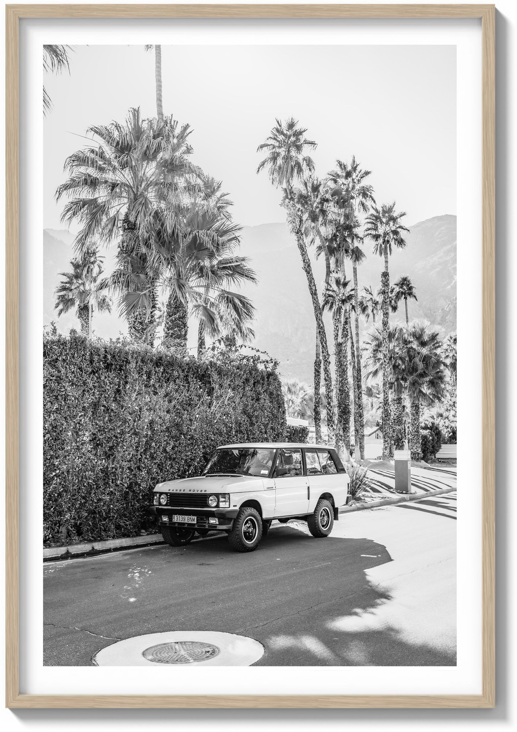 Landy In Light