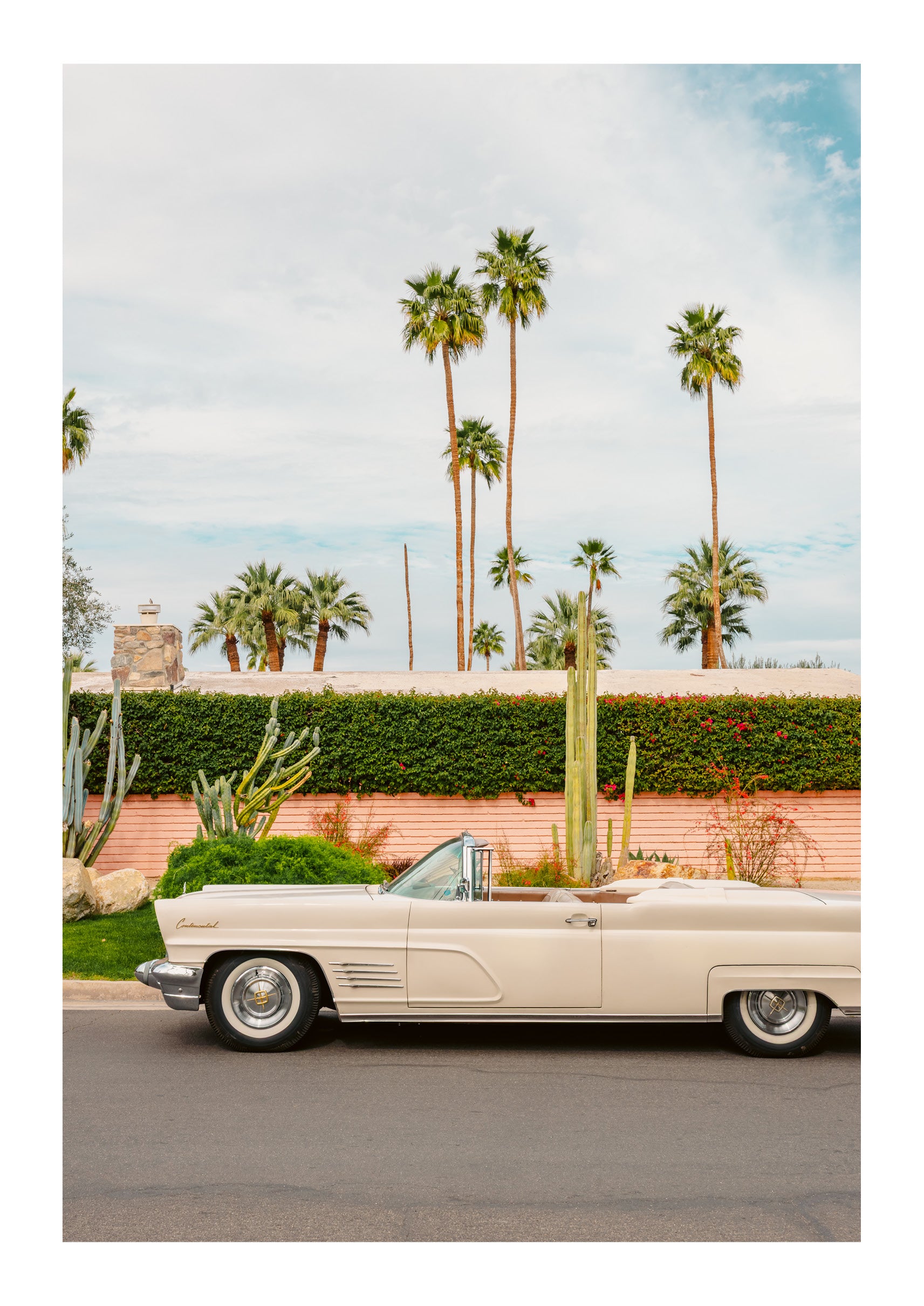 Palm Springs Pastels