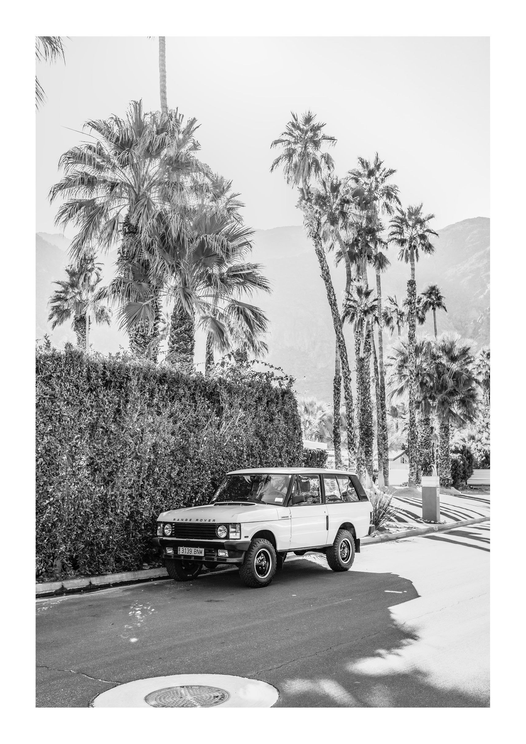 Landy In Light