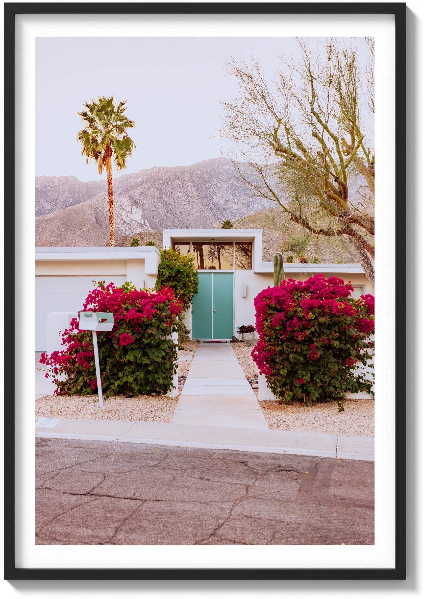 Doors of Palm Springs