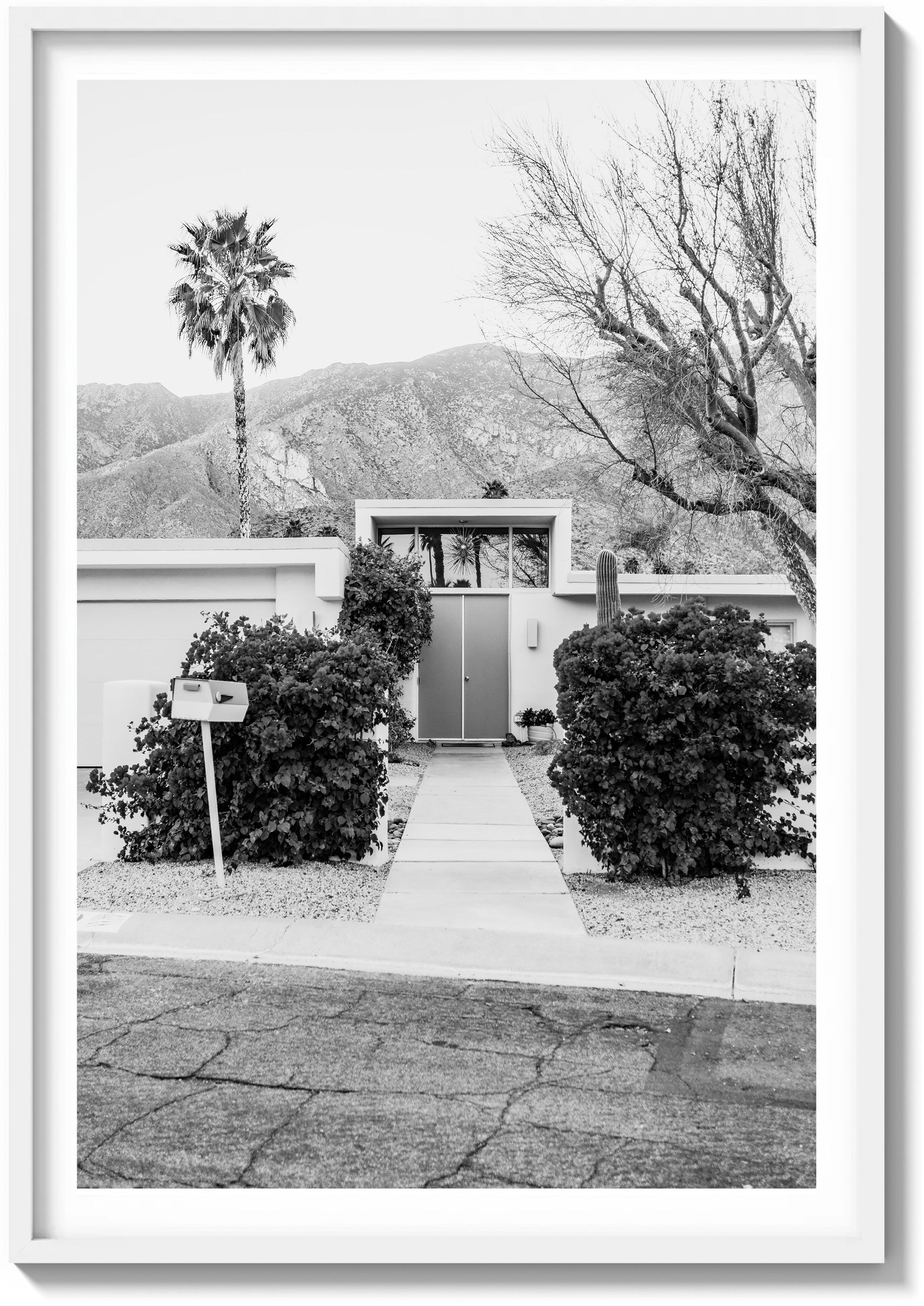 Doors of Palm Springs