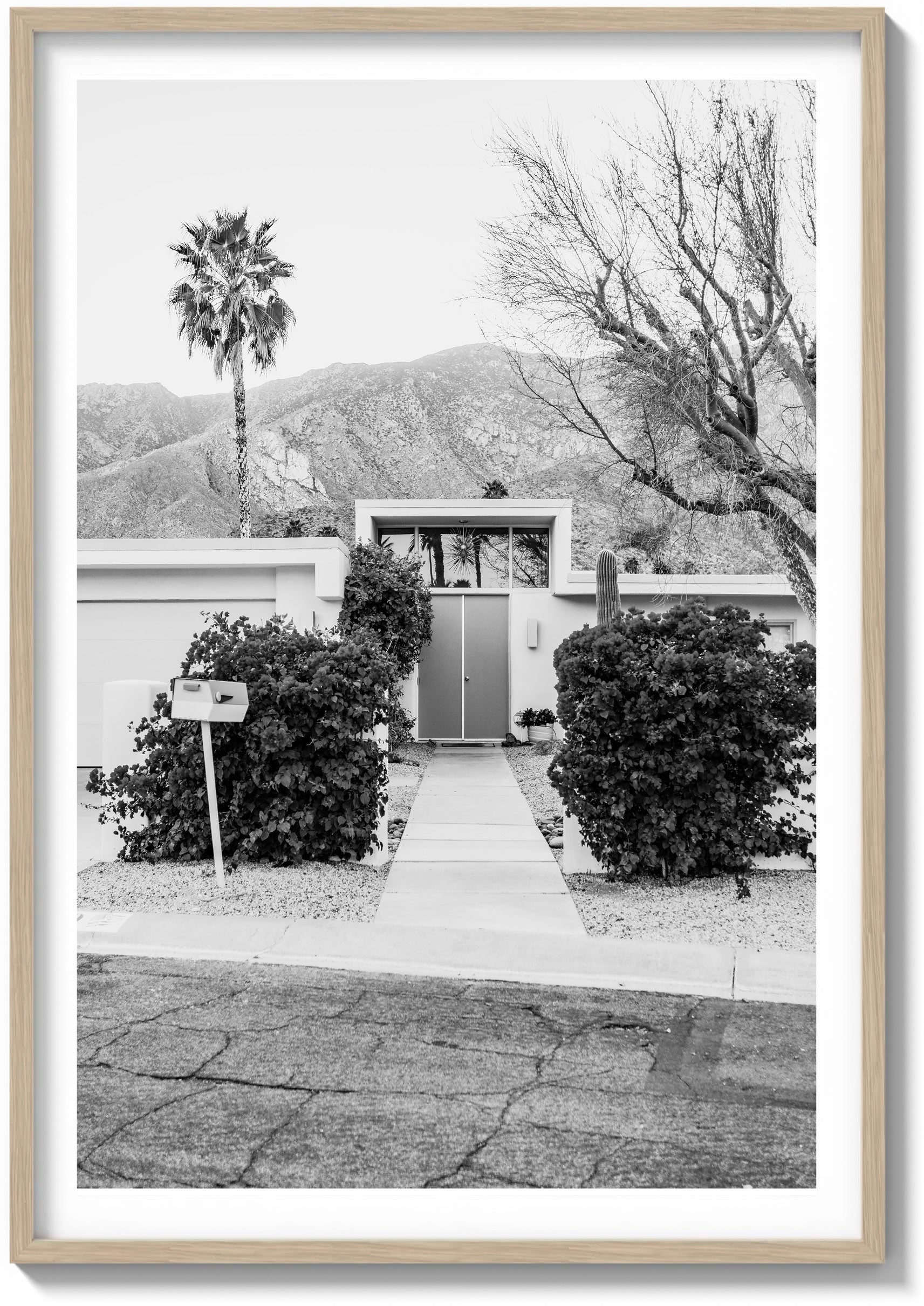 Doors of Palm Springs
