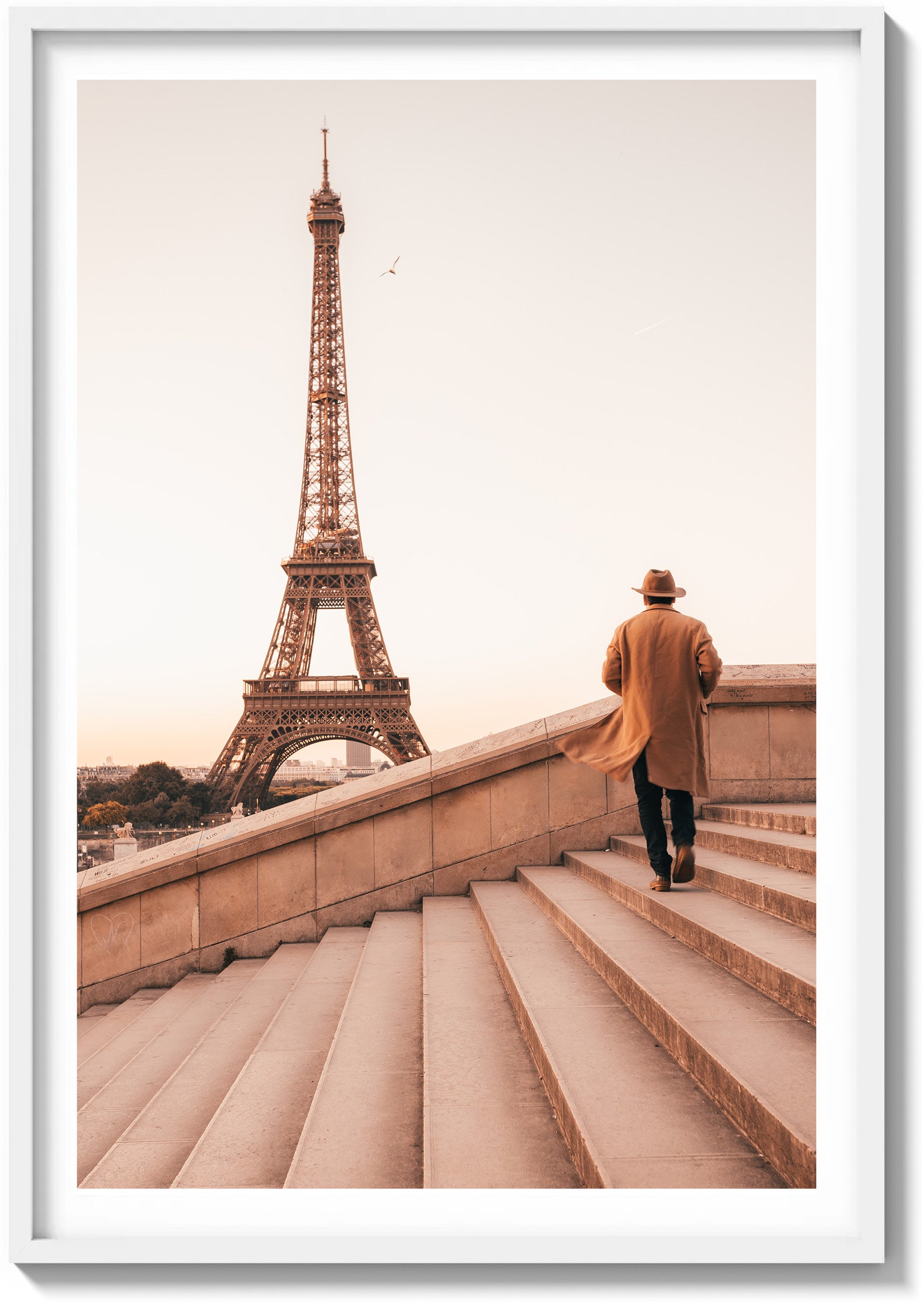 Trocadéro Sunrise