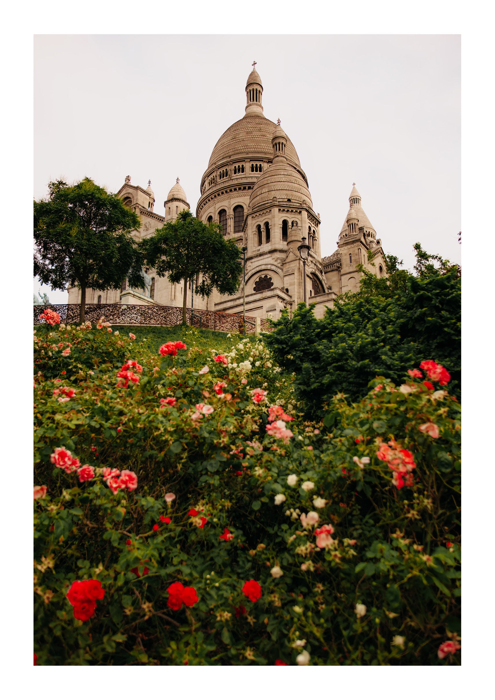 Flowers on the Hillside