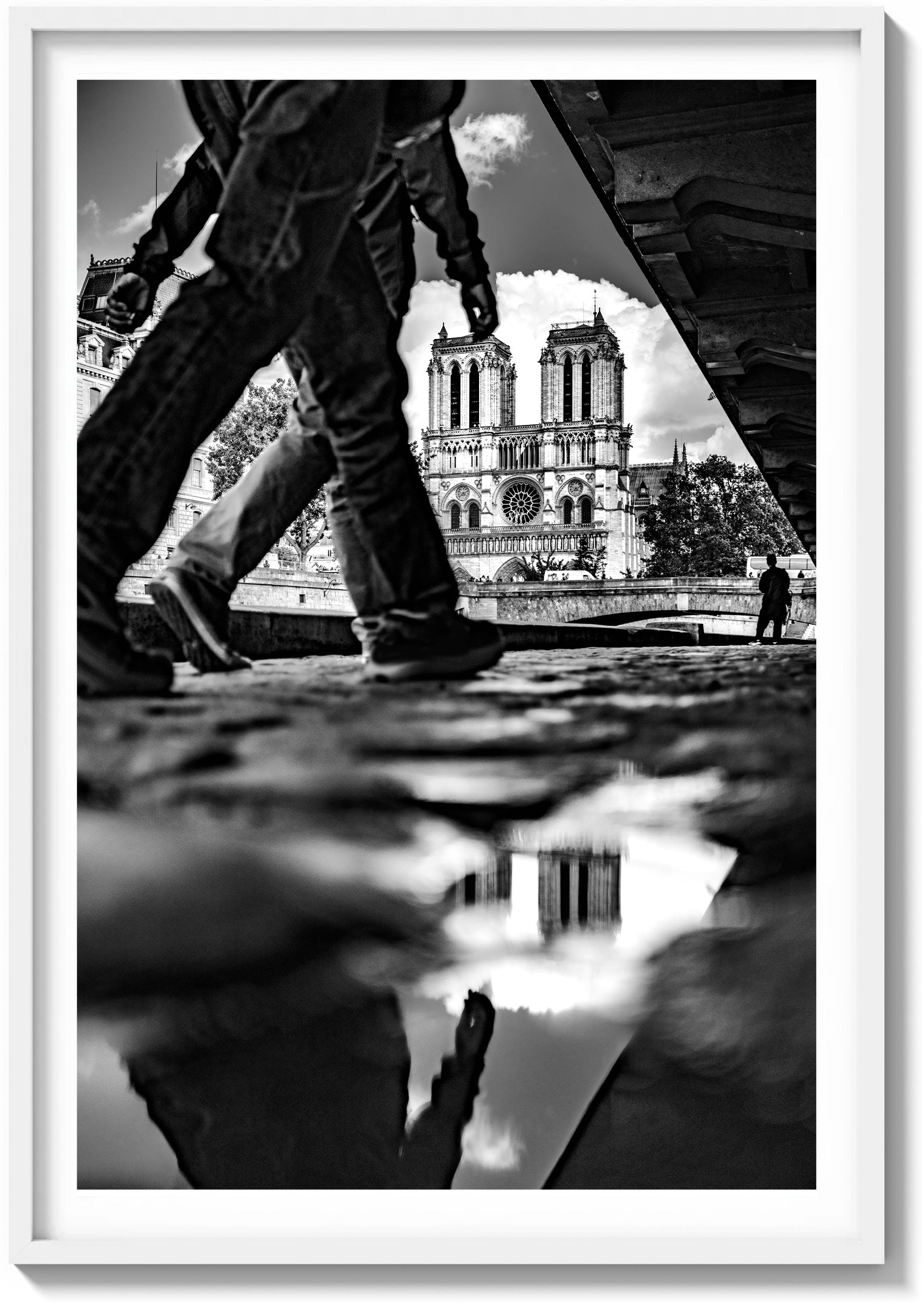 Reflections of Notre Dame