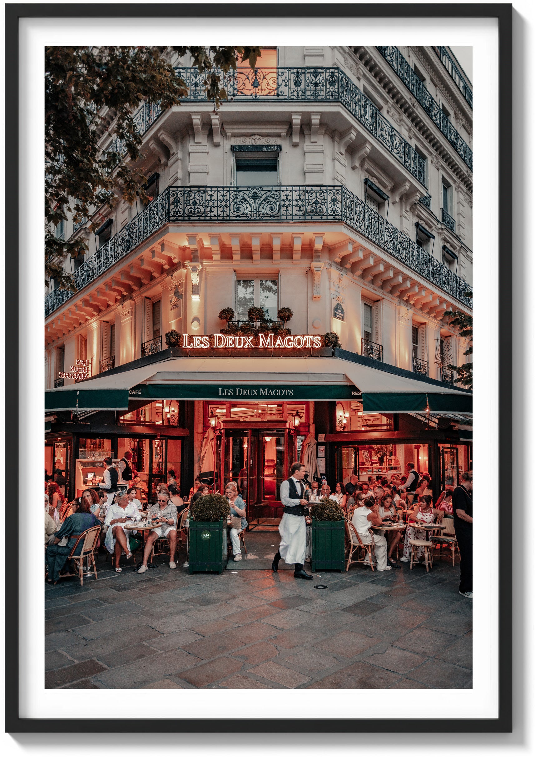 Under the Café Lights