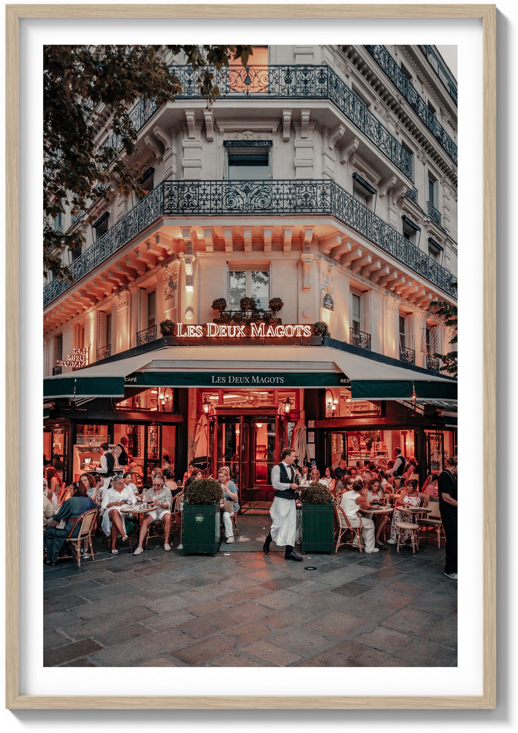 Under the Café Lights