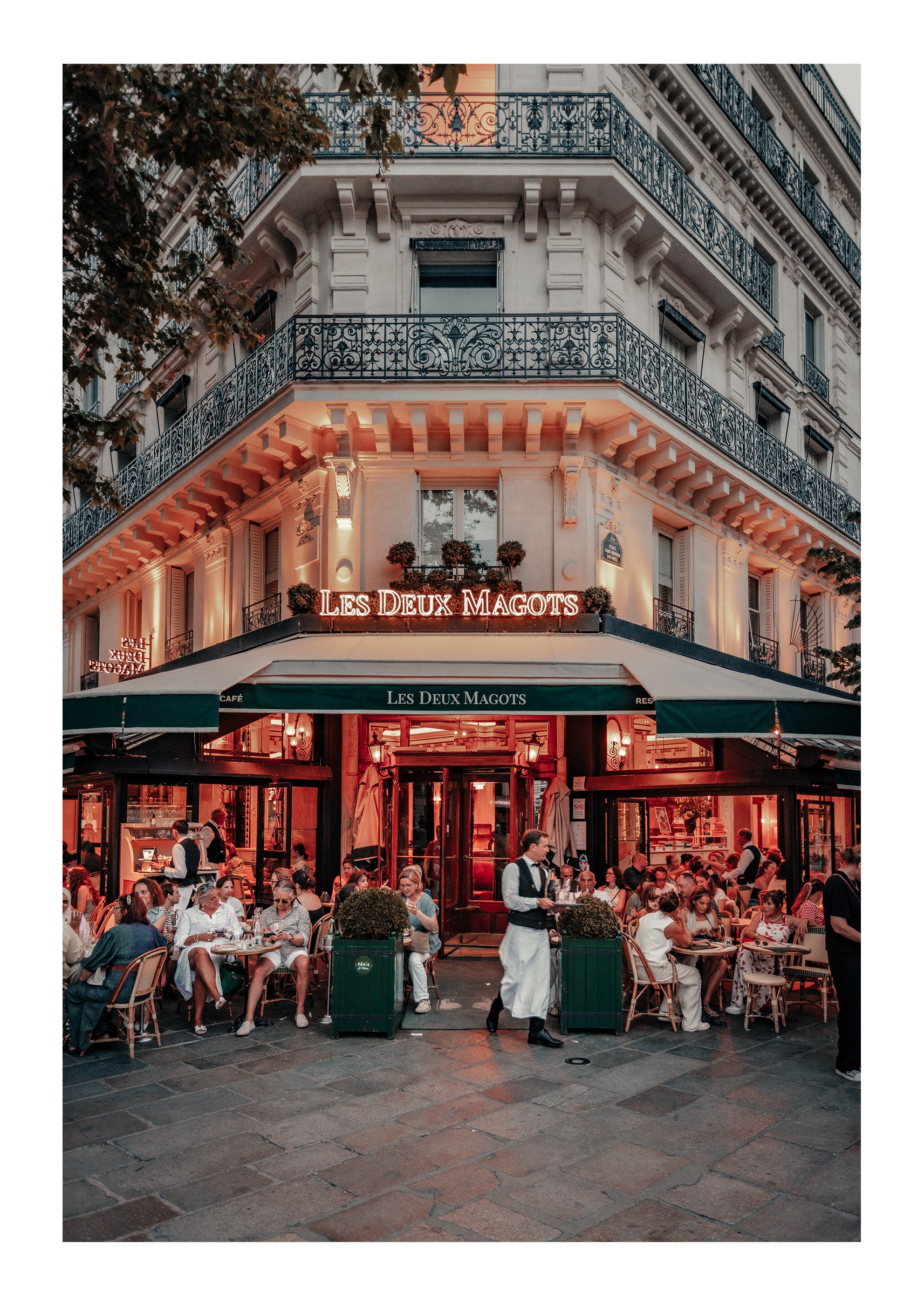 Under the Café Lights