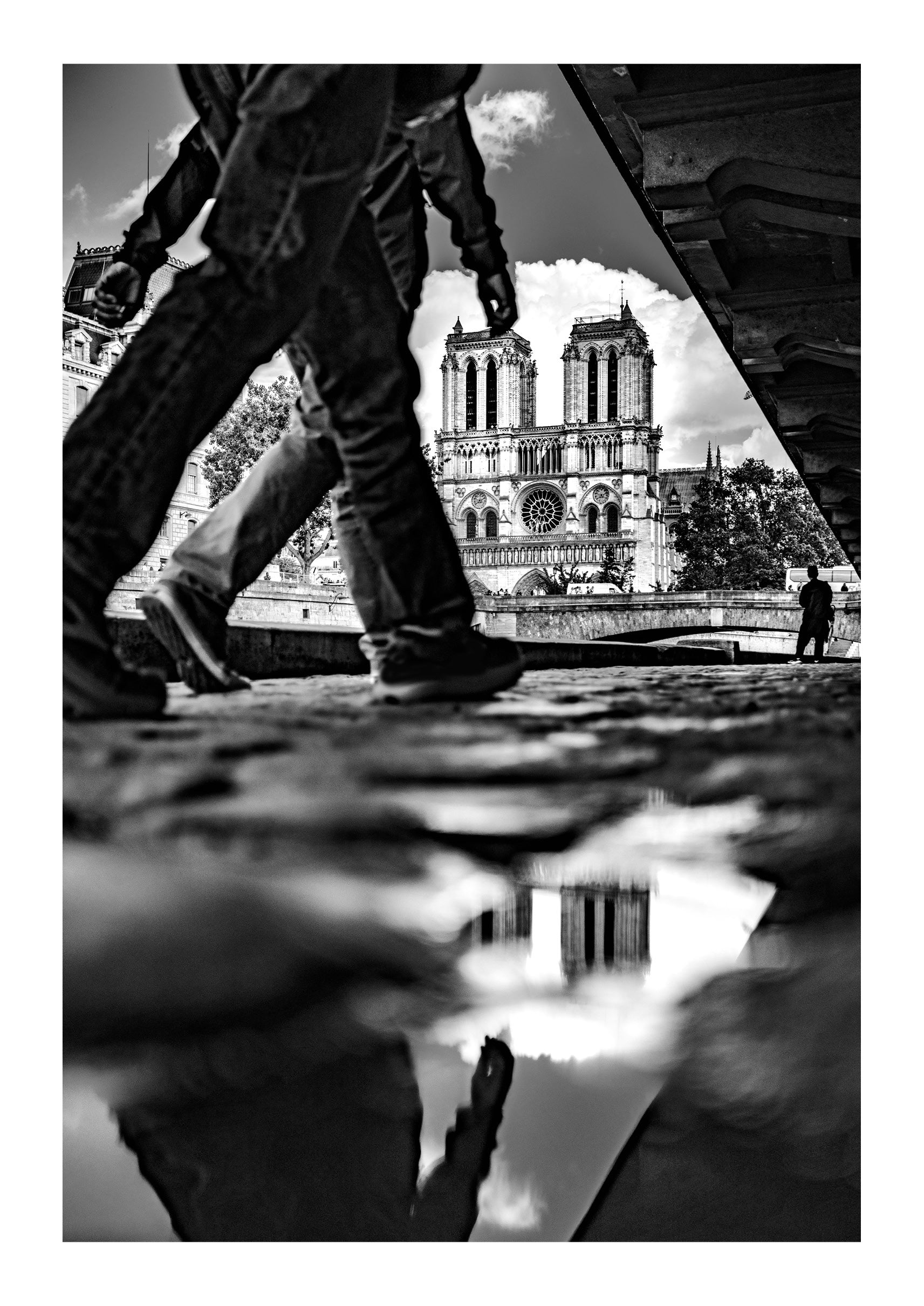 Reflections of Notre Dame