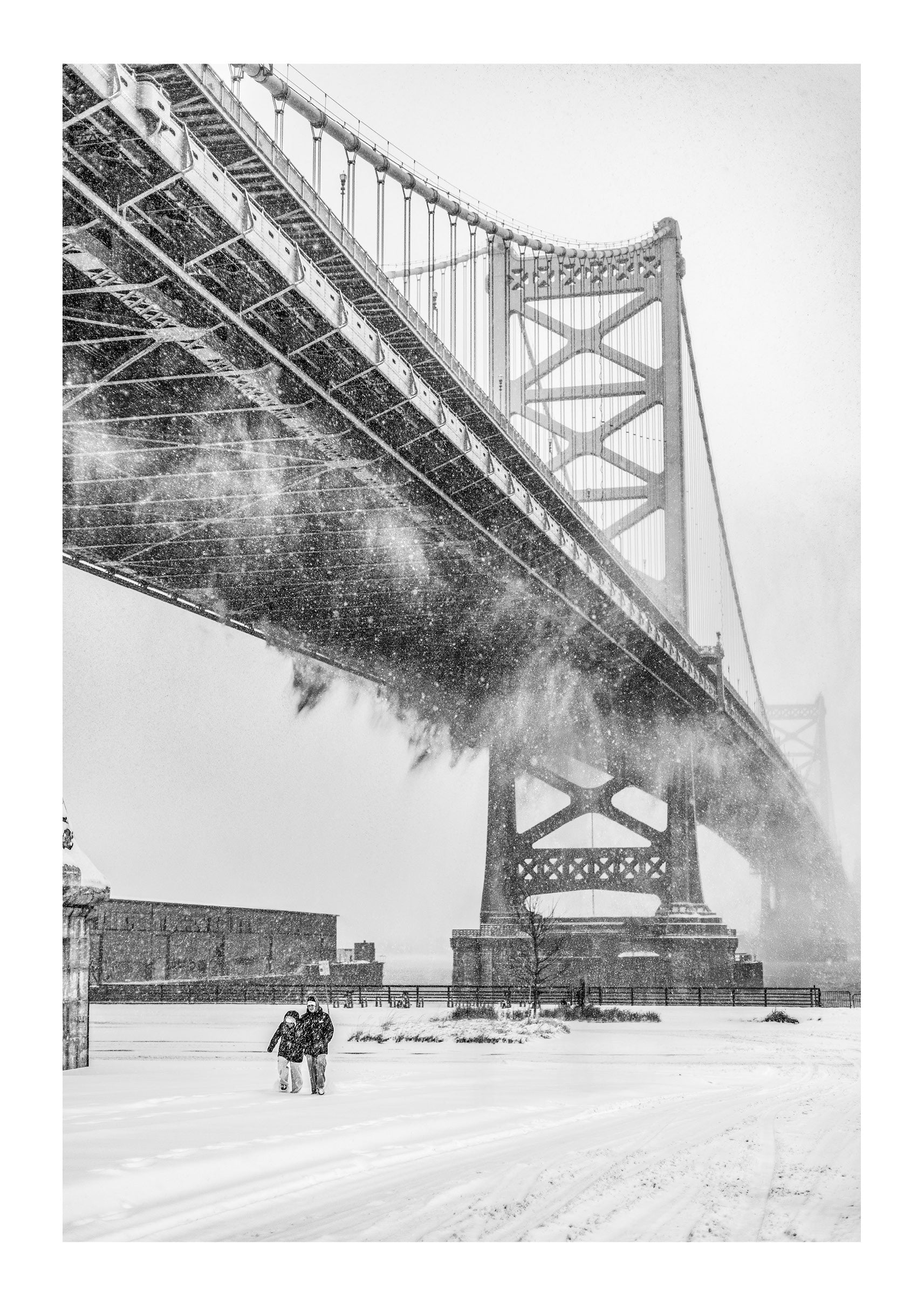 Frozen Steel