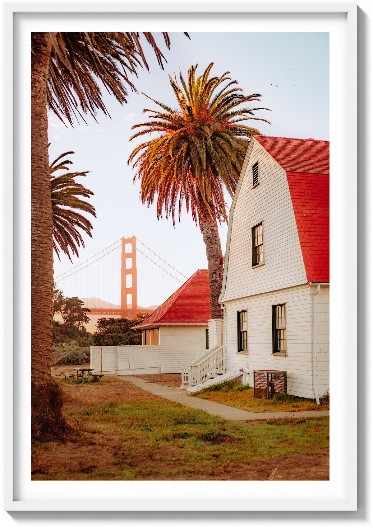 San Francisco Palms