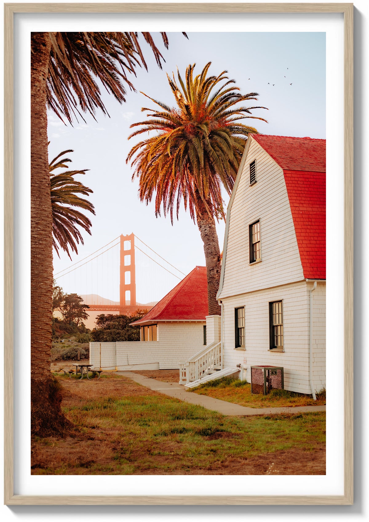 San Francisco Palms