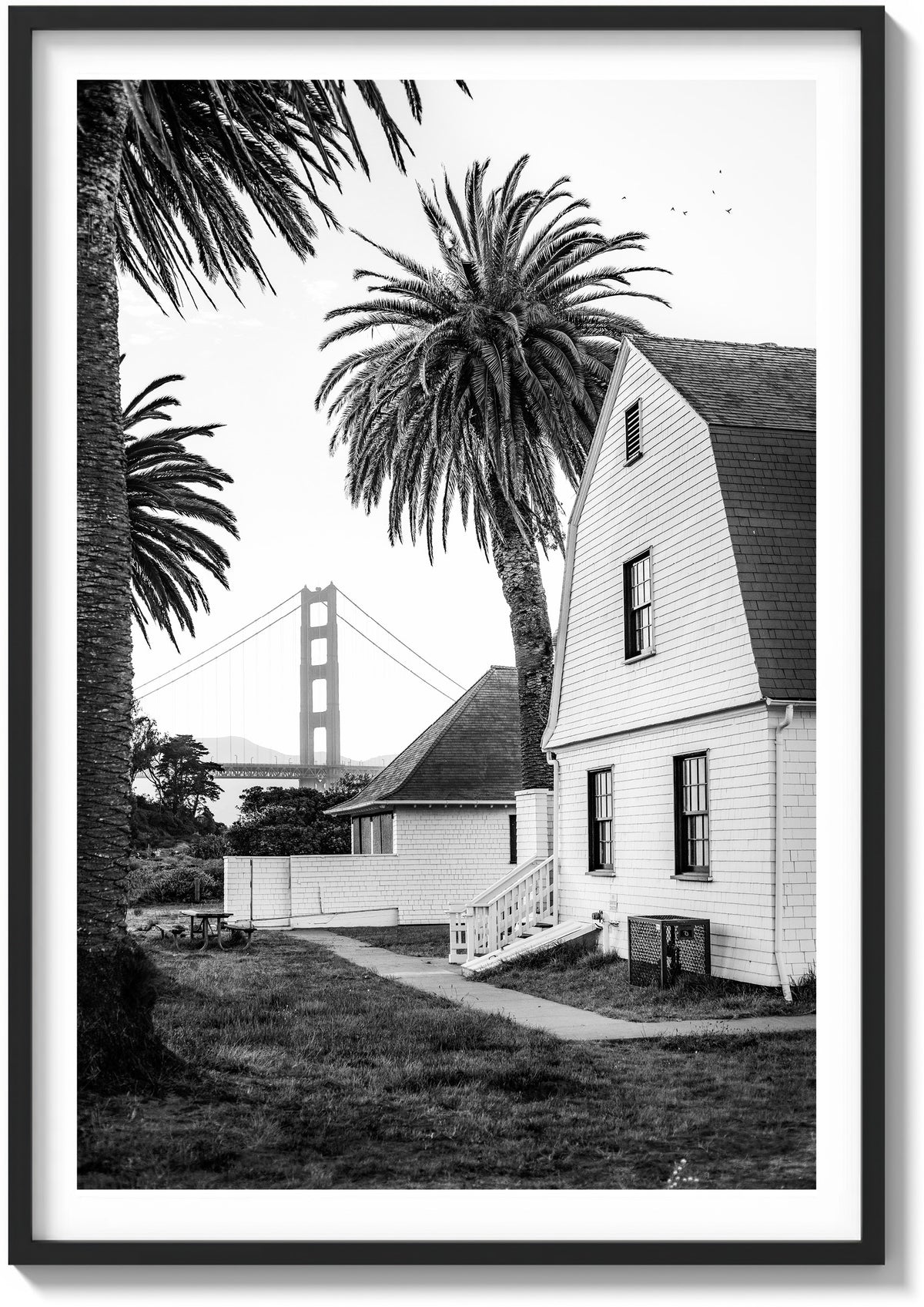 San Francisco Palms