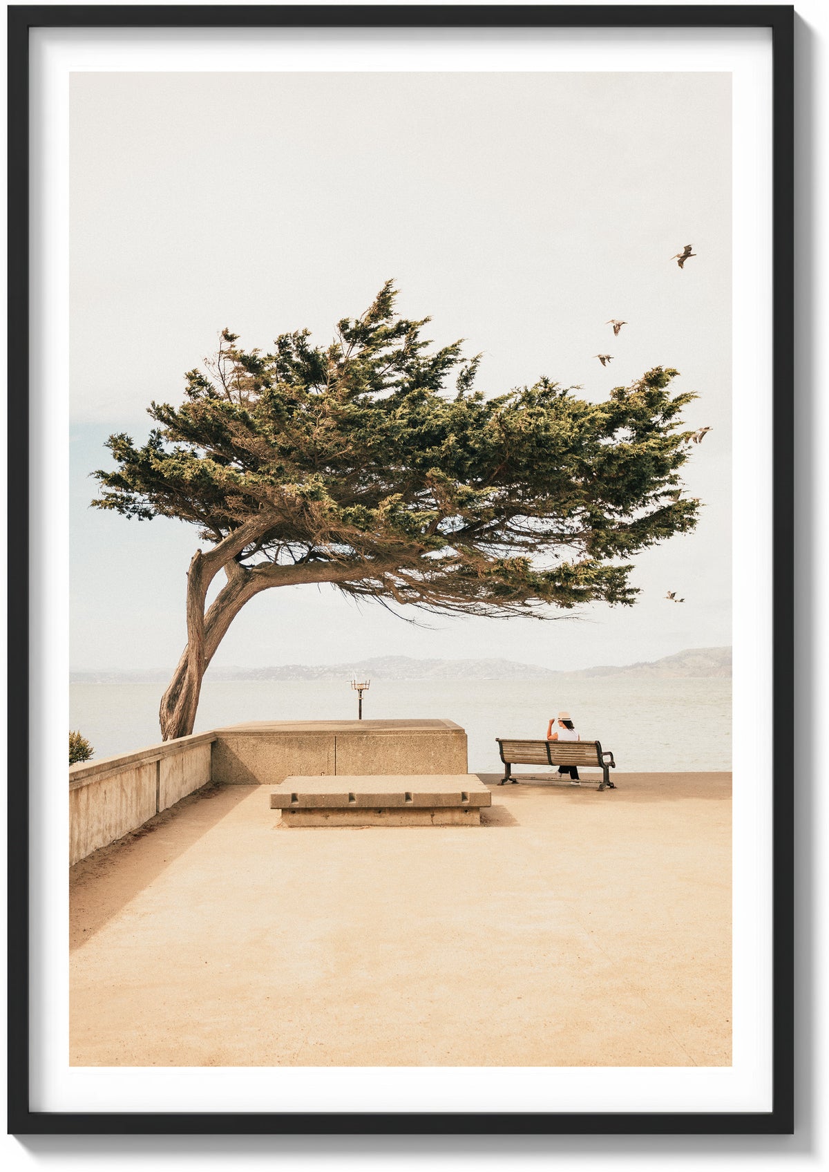 Lone Cypress