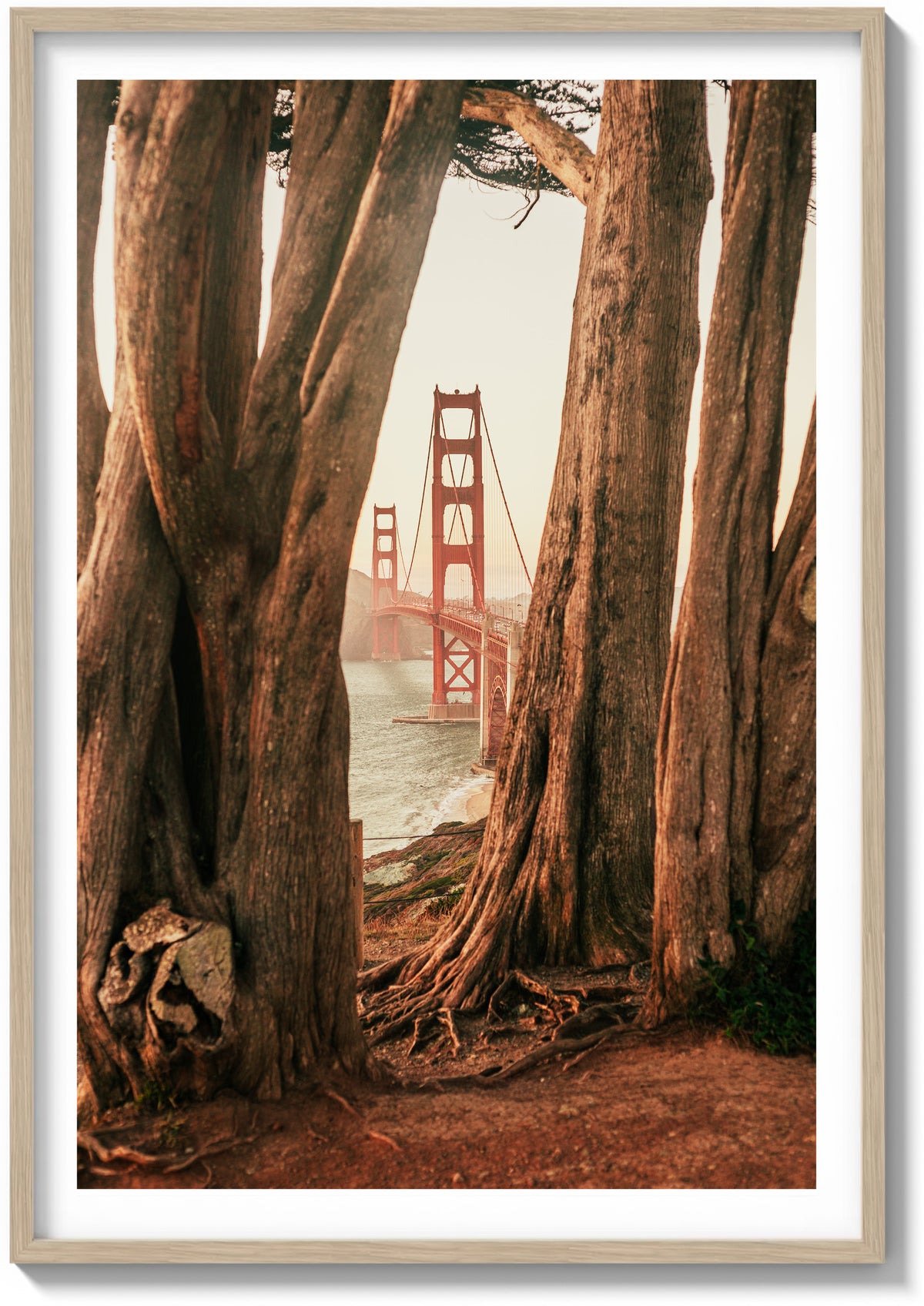 Cypress and Steel