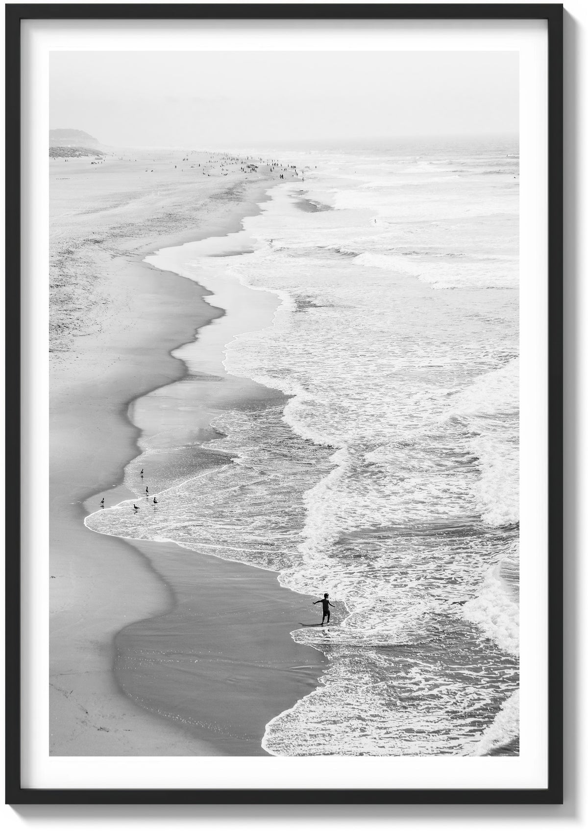 Ocean Beach Exploration