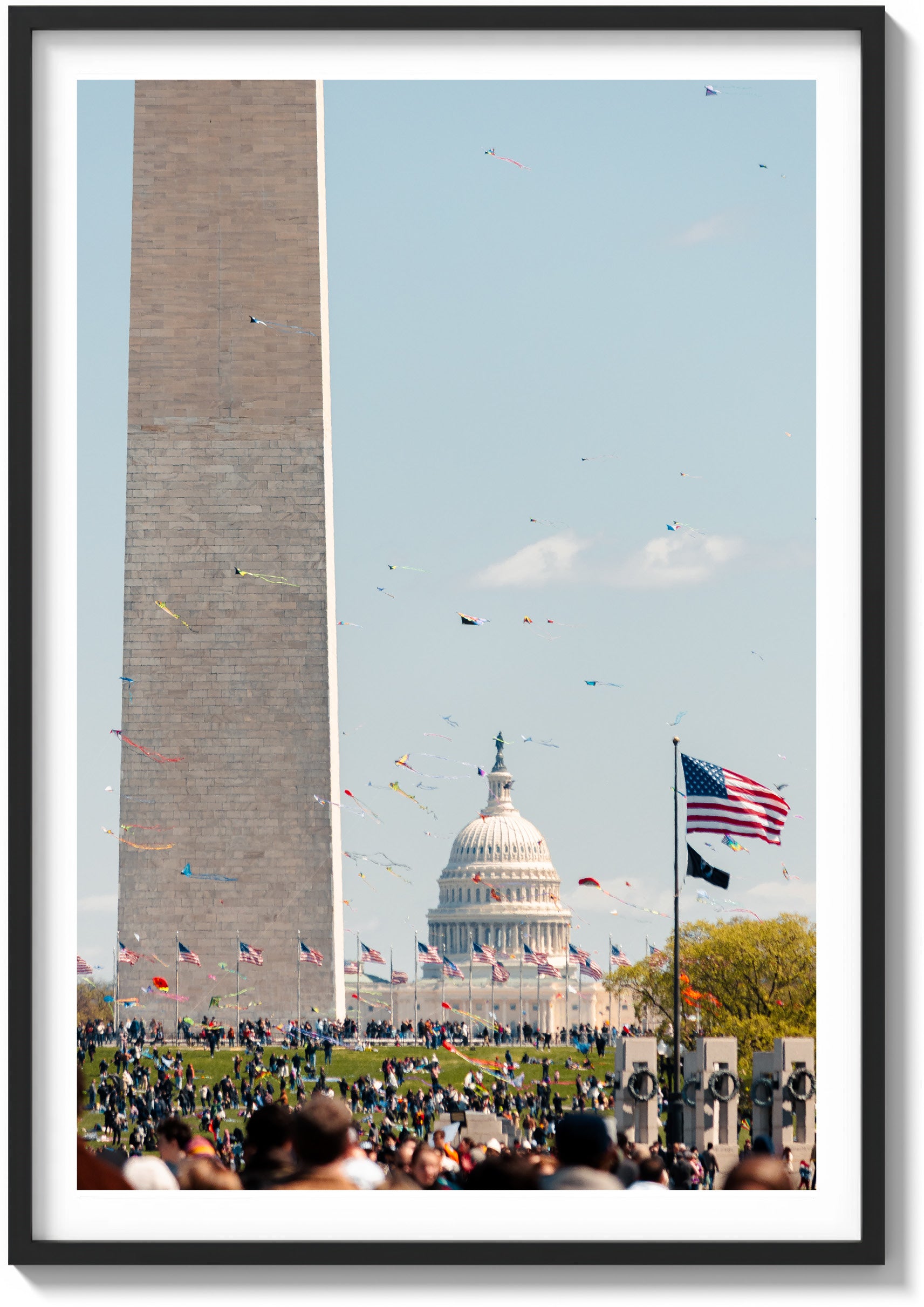 Kites and Capitol Skies