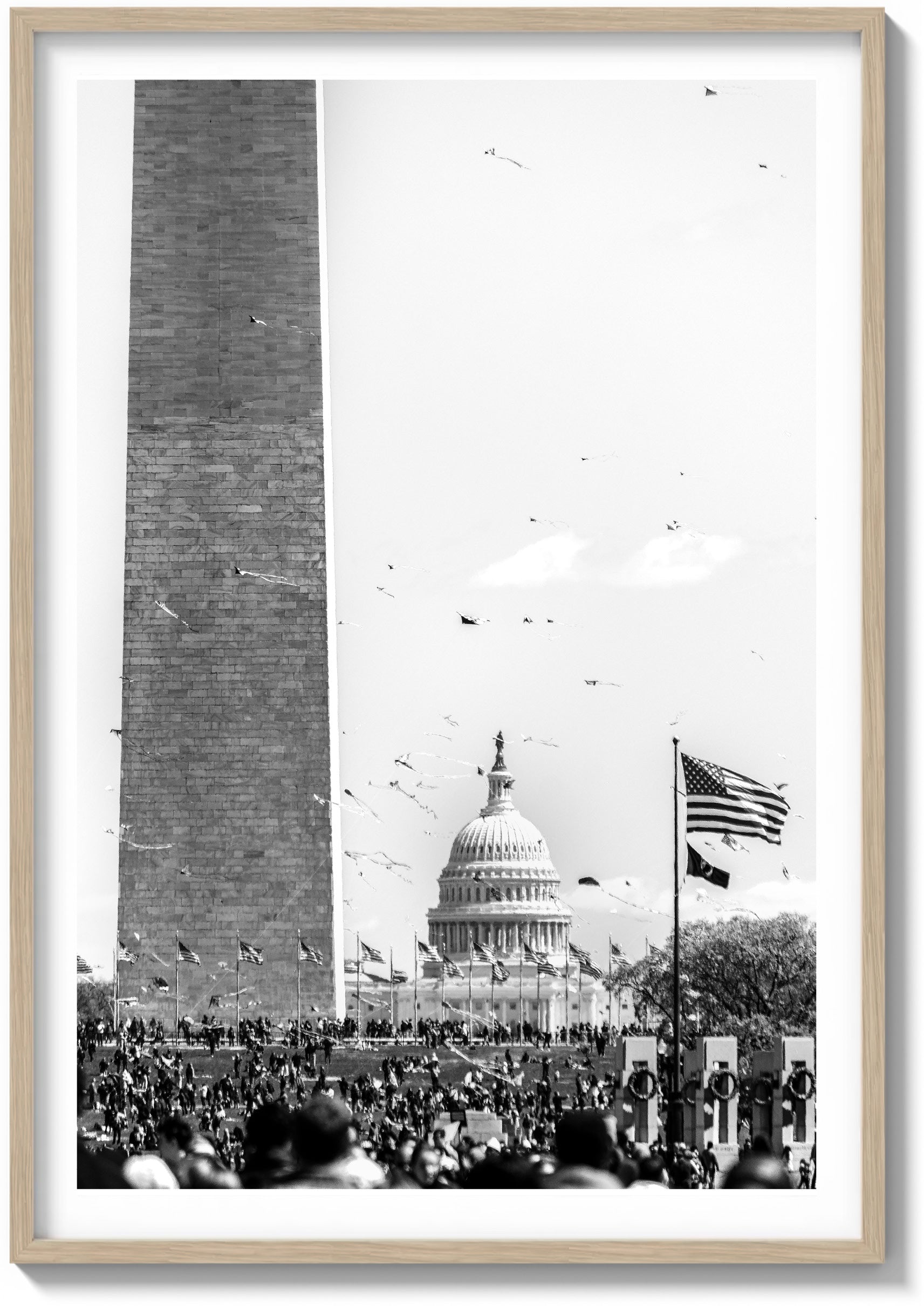 Kites and Capitol Skies