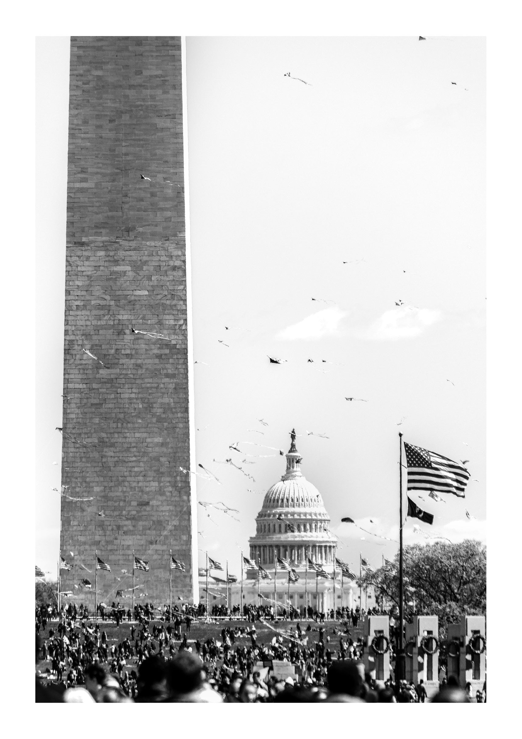 Kites and Capitol Skies