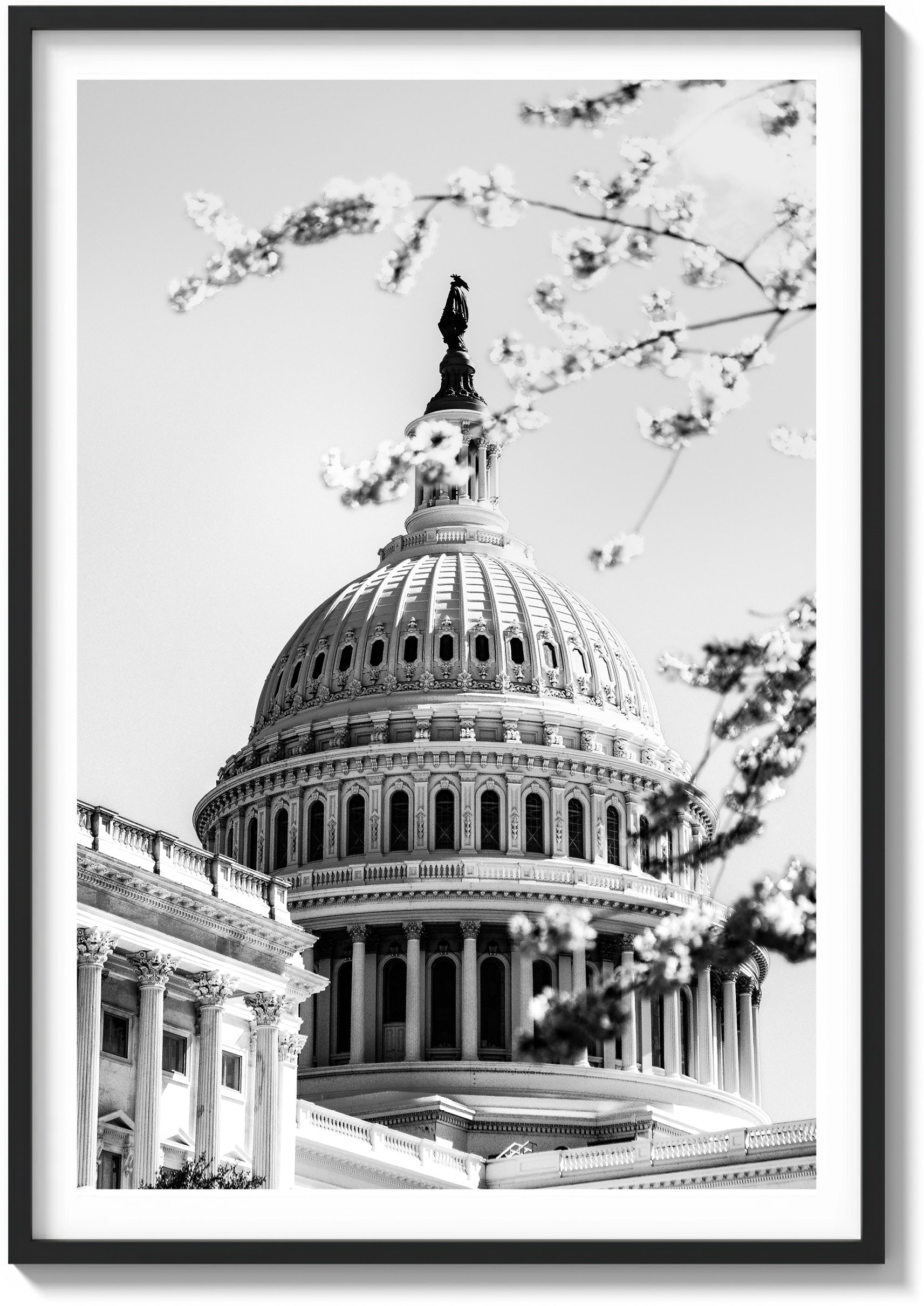 Springtime at the Capitol