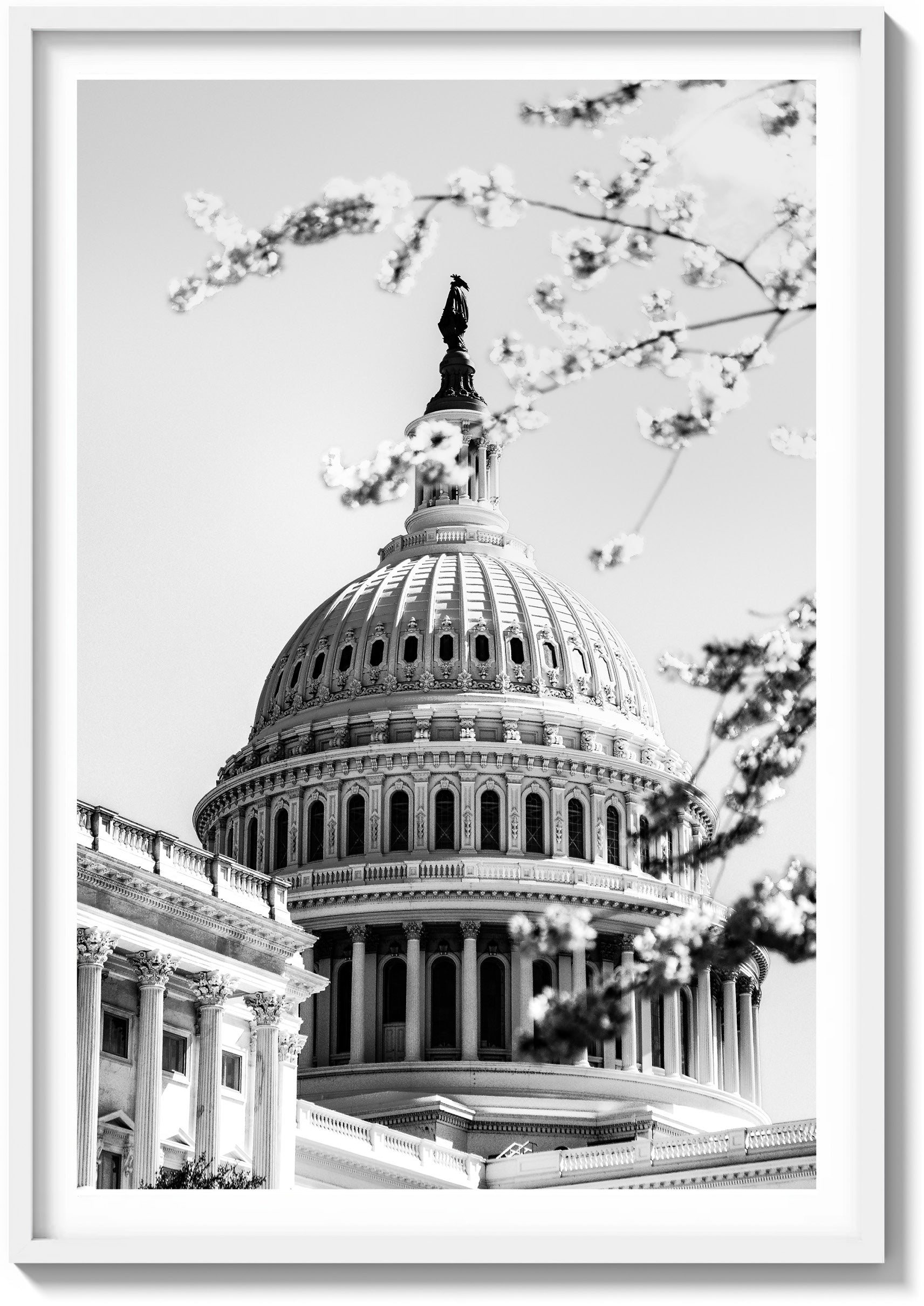 Springtime at the Capitol