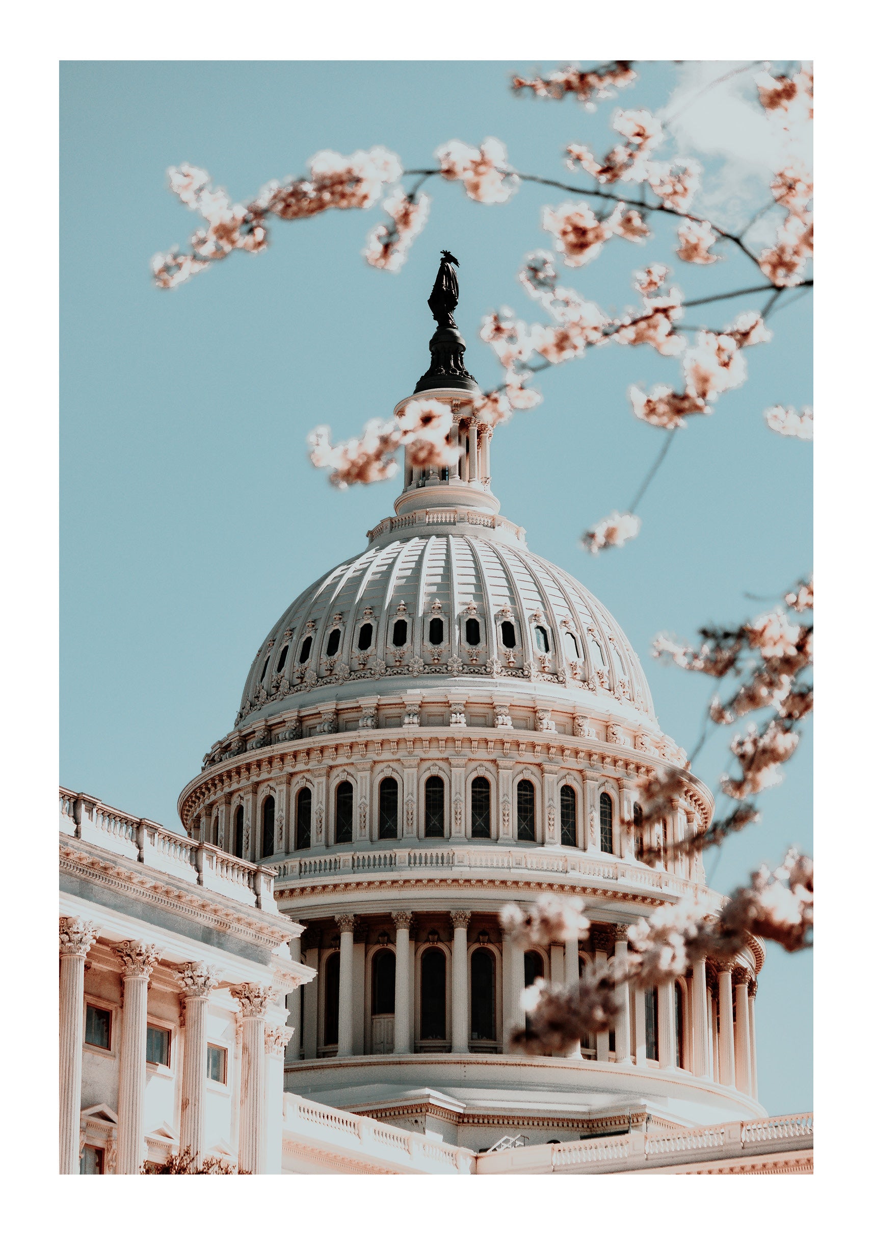 Springtime at the Capitol