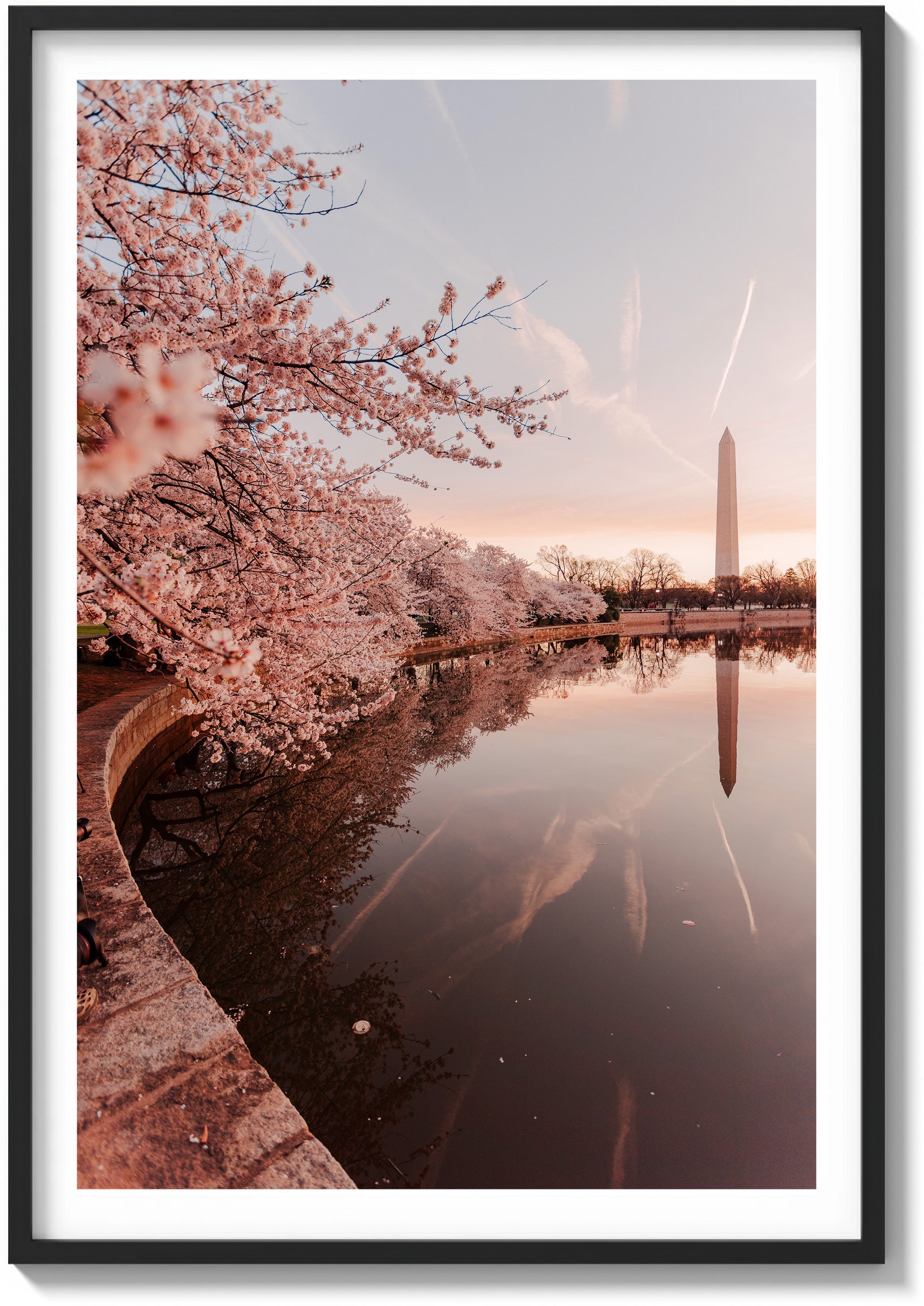 Springtime Foliage