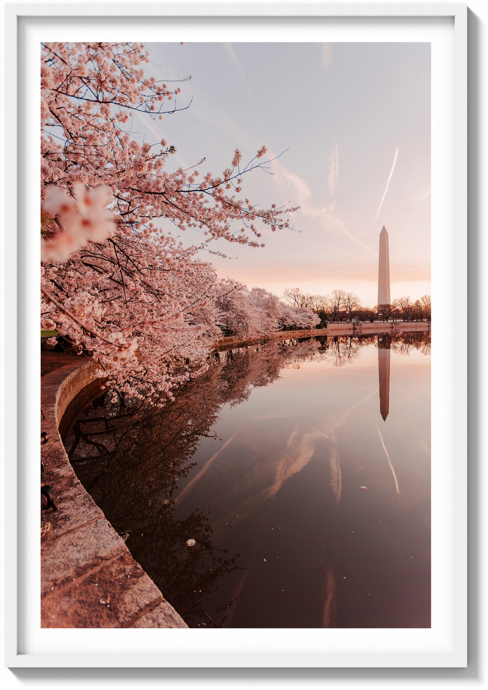 Springtime Foliage